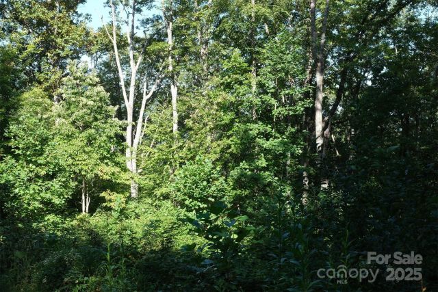 Lot: 12 CAPERTON POINT Road, Swannanoa, NC, 28778
