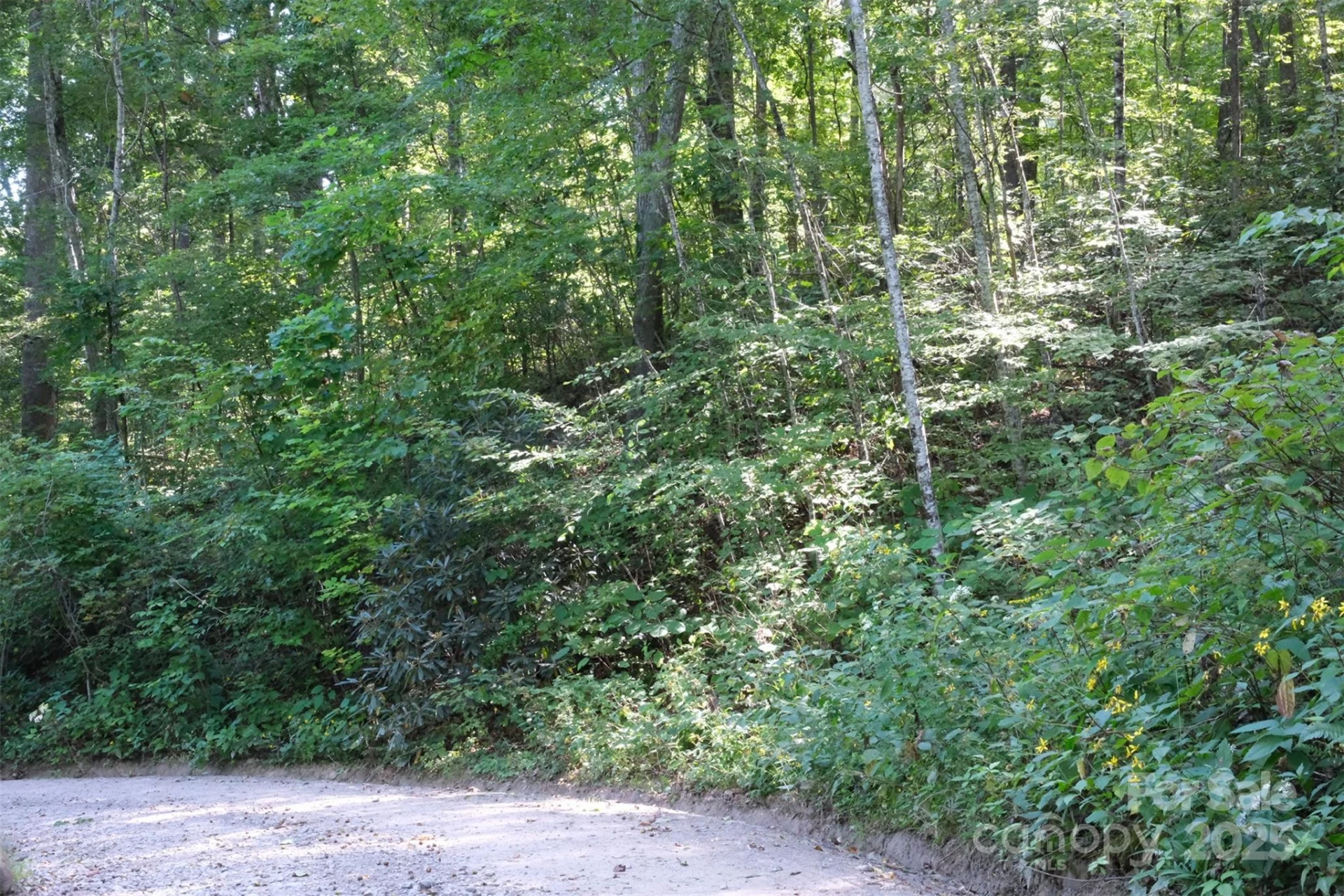 Lot: 12 CAPERTON POINT Road #12 - Photo 4