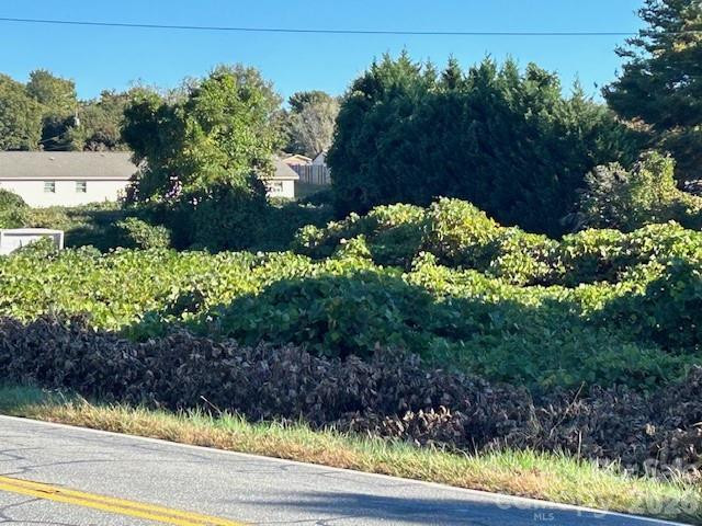 0 Oakland Heights Road - Photo 3