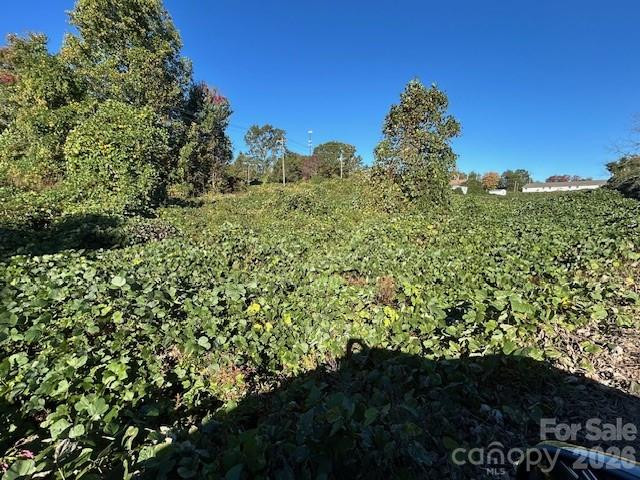 0 Oakland Heights Road - Photo 5