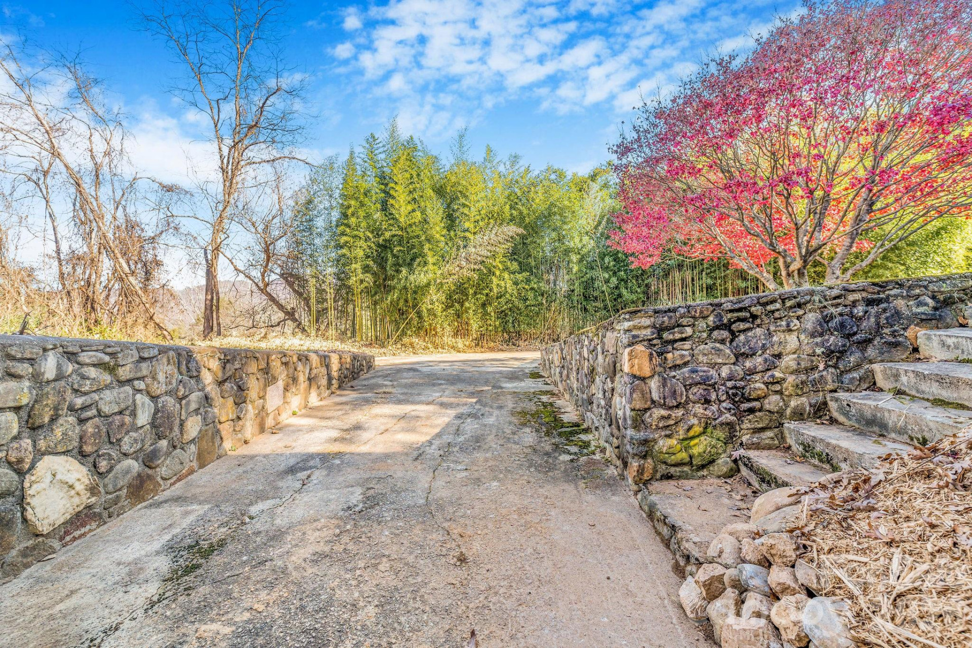 107 Woodland Church Road - Photo 29