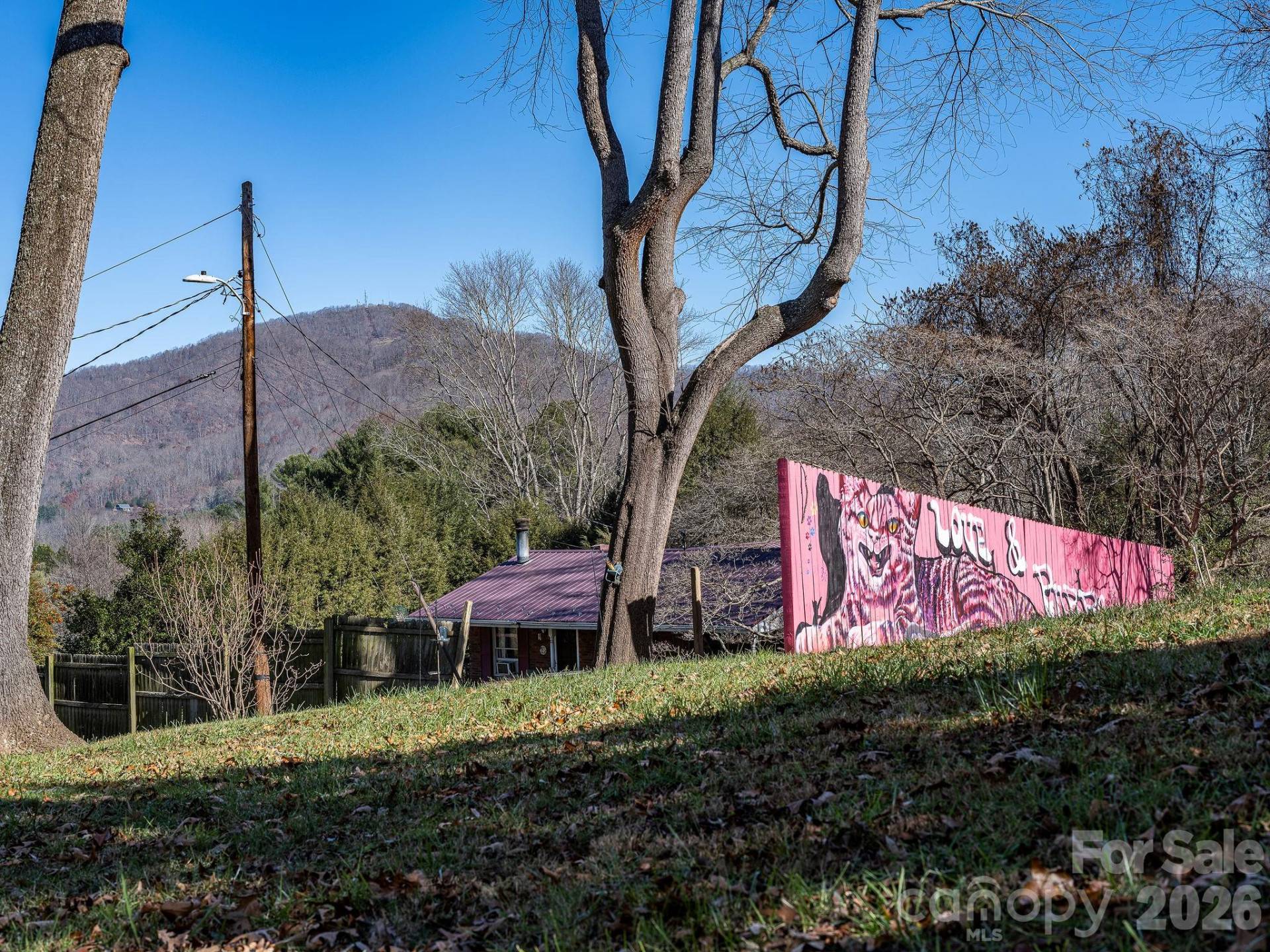 107 Woodland Church Road - Photo 4