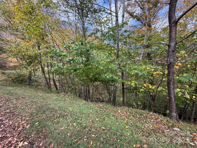 92 Goldenleaf Drive, Mars Hill, NC, 28754