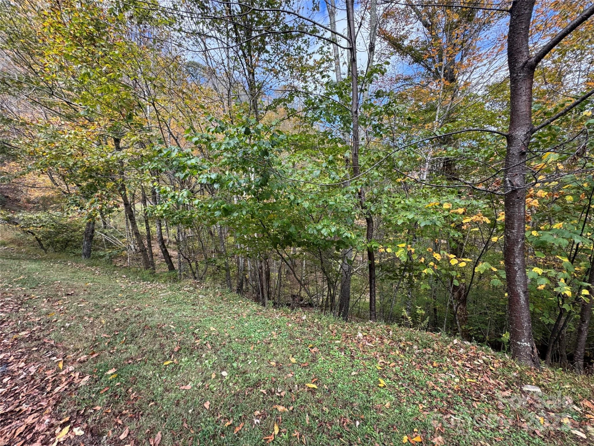 92 Goldenleaf Drive