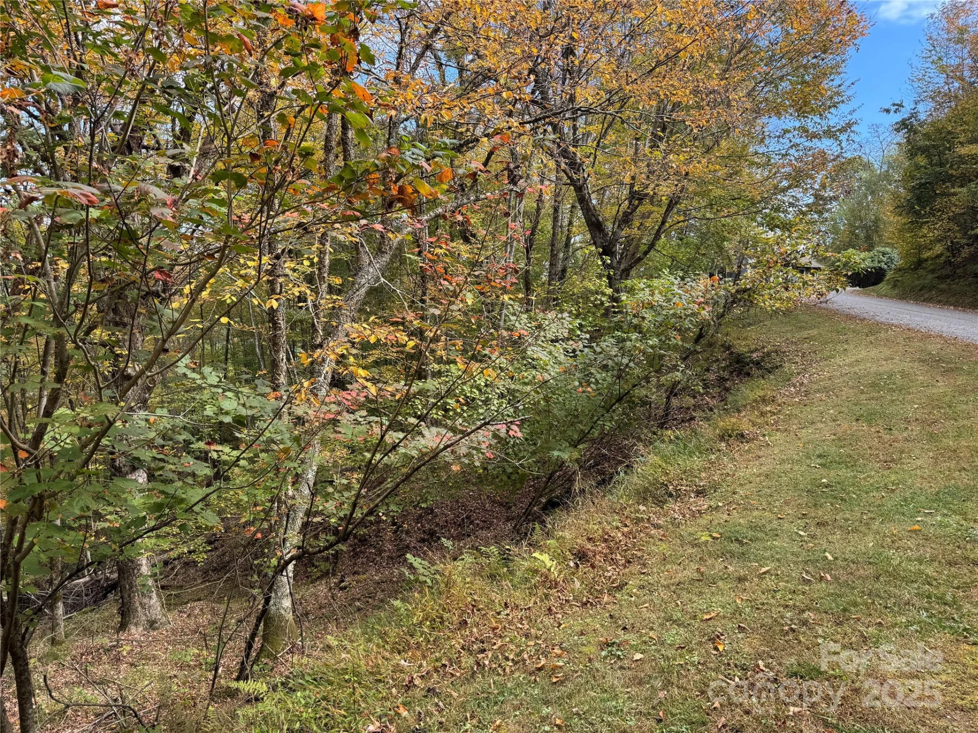 92 Goldenleaf Drive - Photo 2
