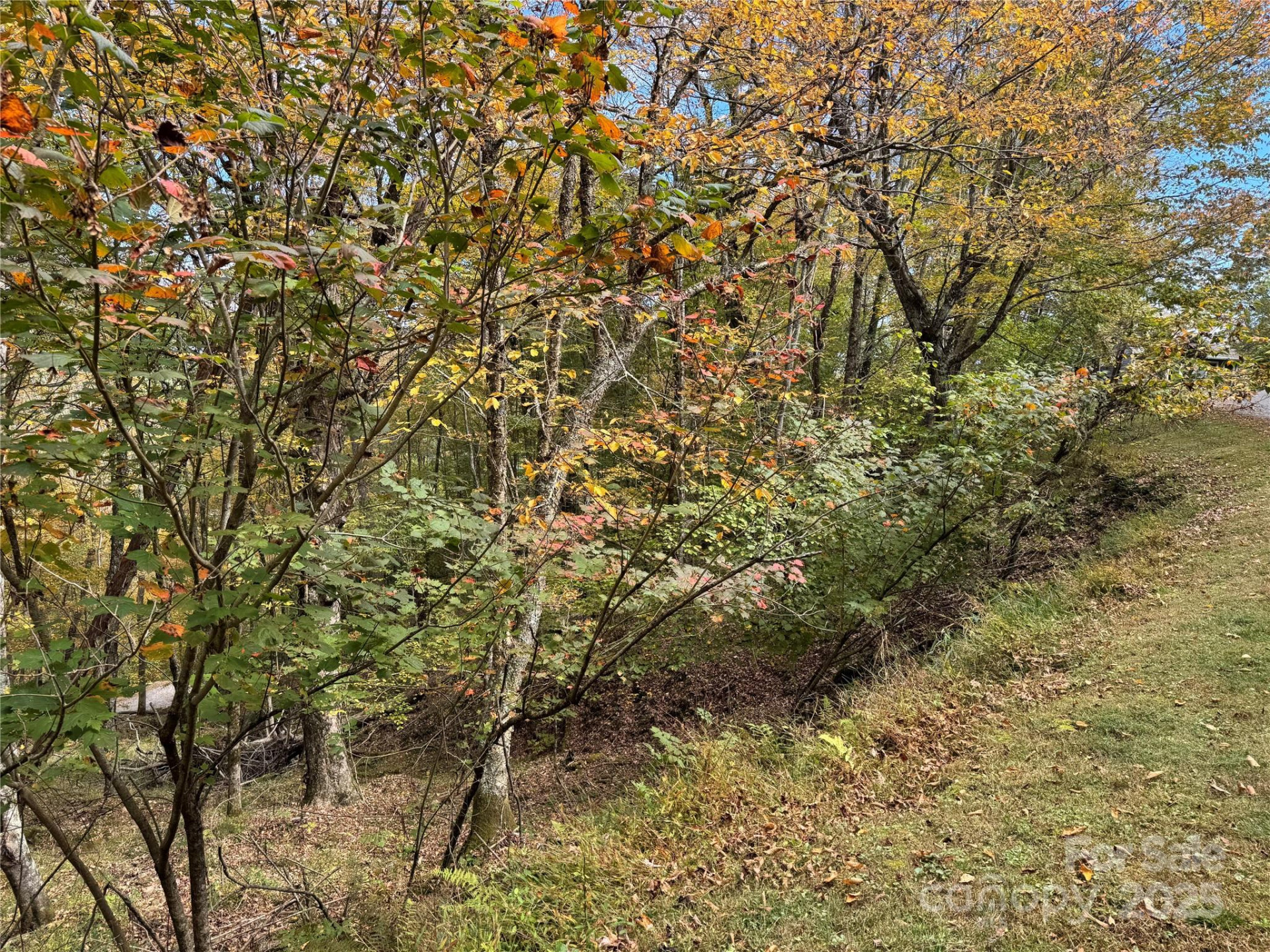 92 Goldenleaf Drive - Photo 3