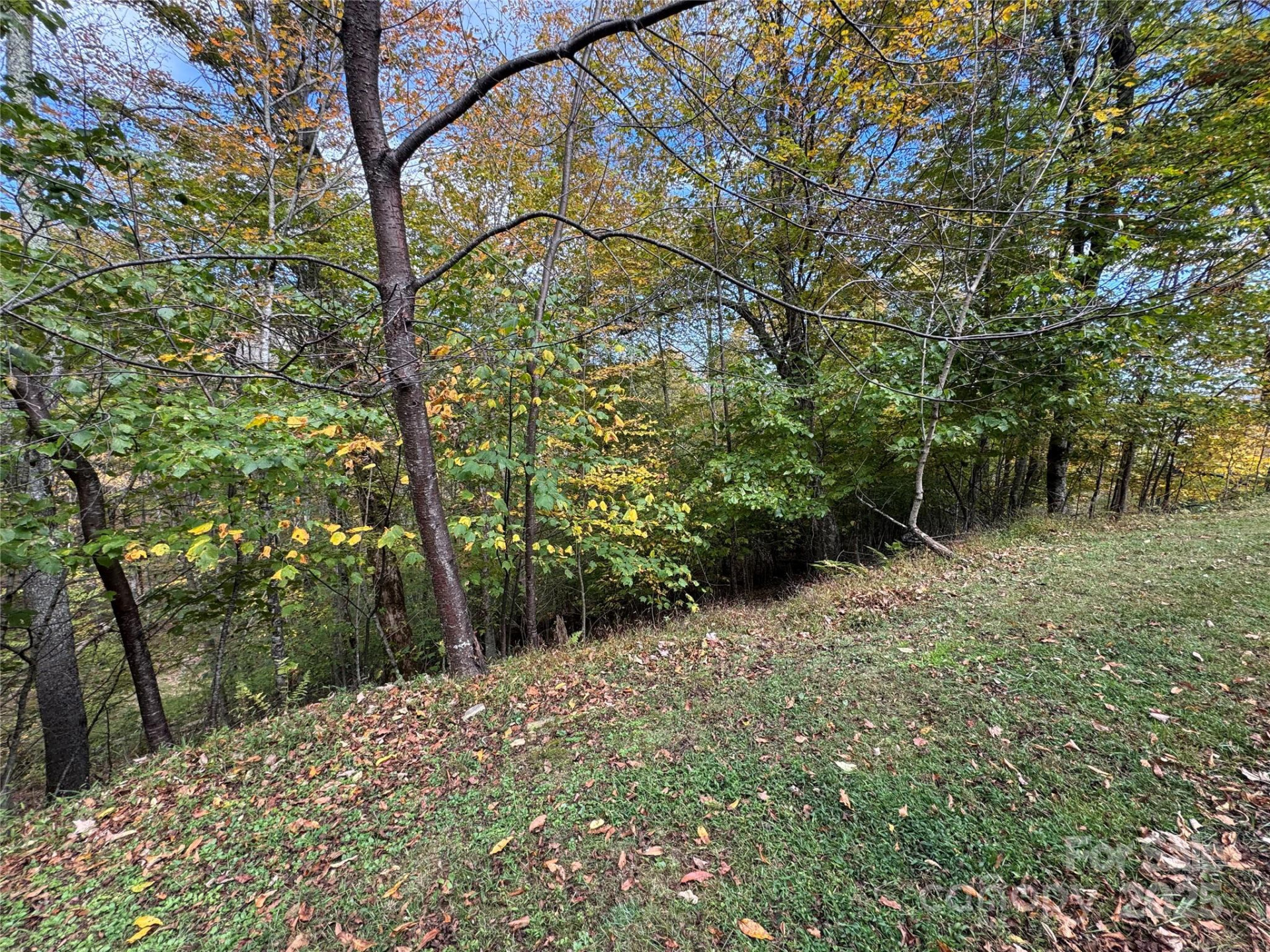 92 Goldenleaf Drive - Photo 4