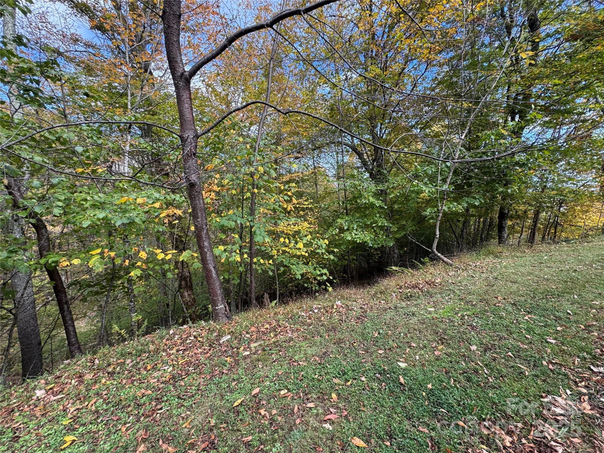 92 Goldenleaf Drive - Photo 4