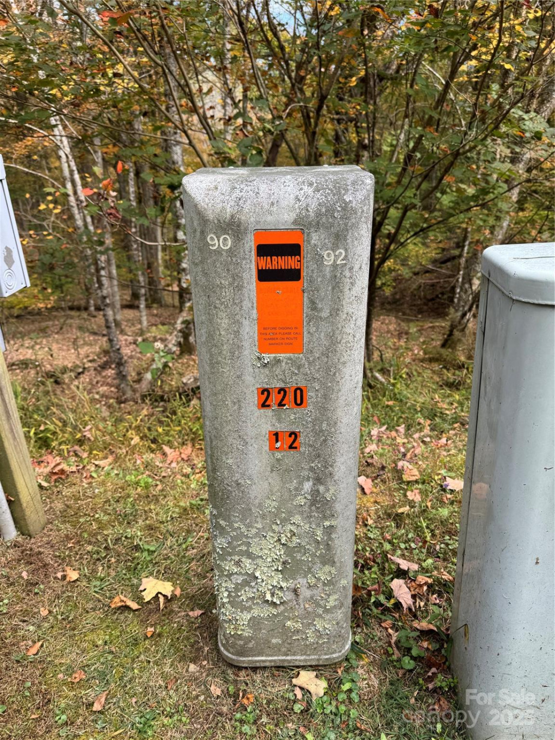 92 Goldenleaf Drive - Photo 5