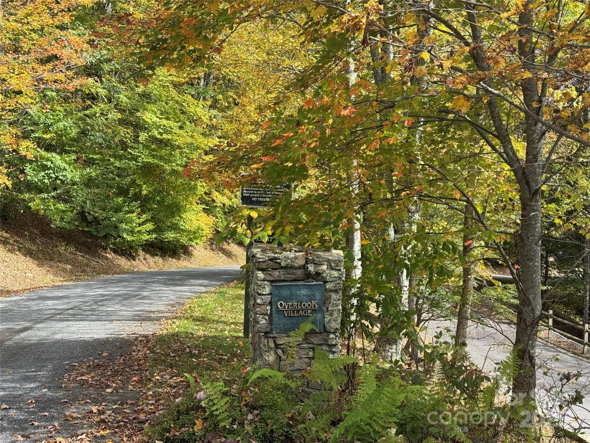 92 Goldenleaf Drive - Photo 8