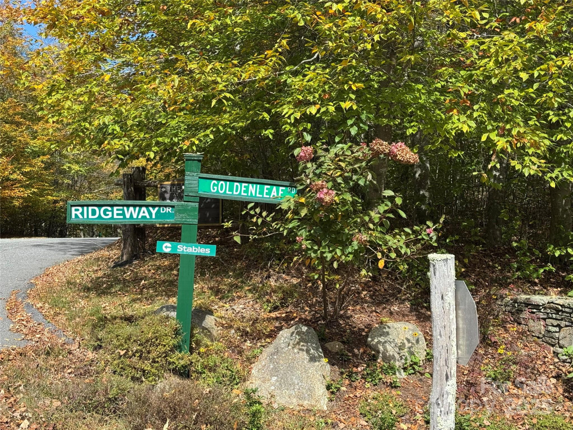 92 Goldenleaf Drive - Photo 9