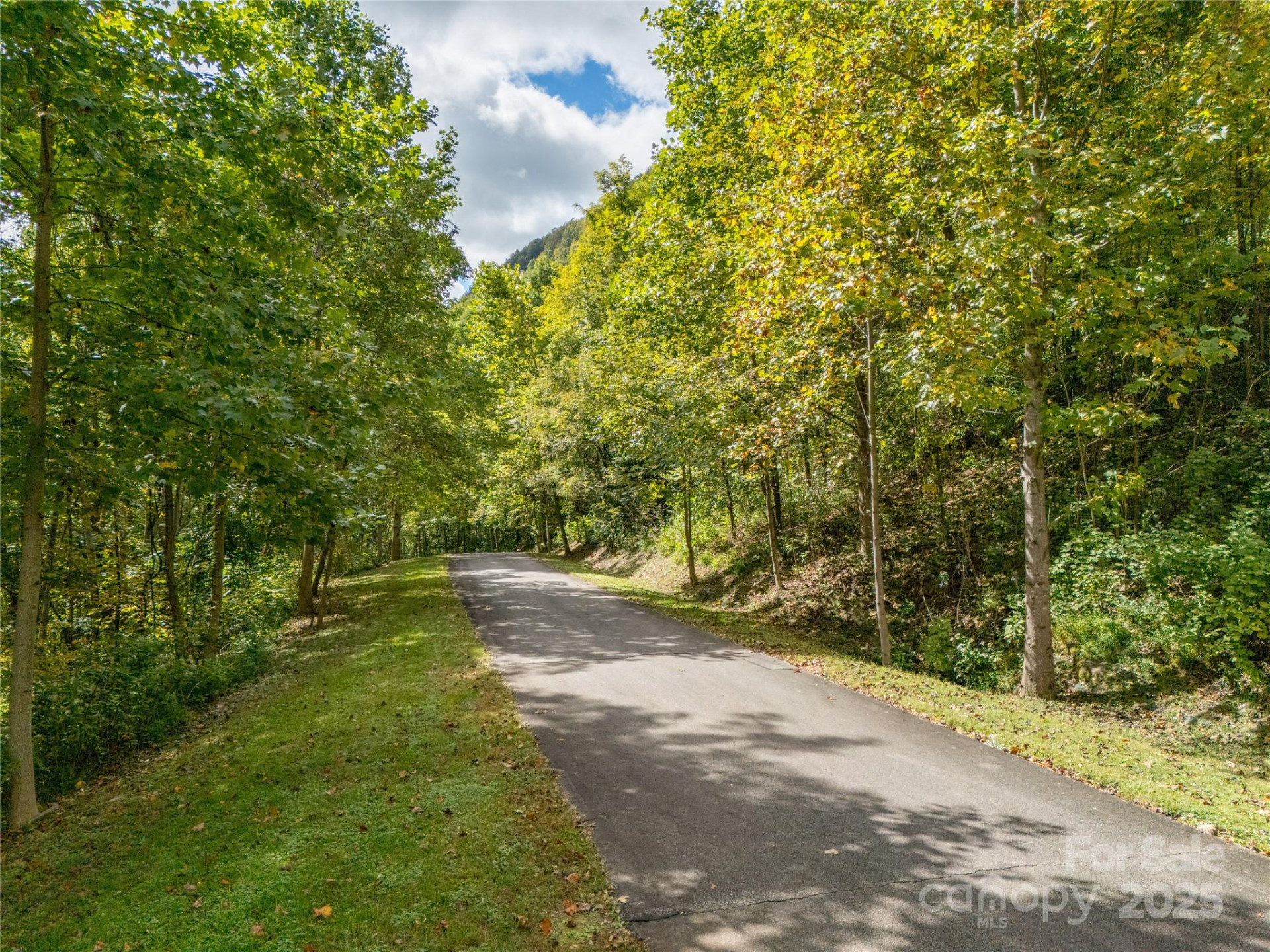 000 Deep Gap Farm Drive #237-2021 - Photo 13
