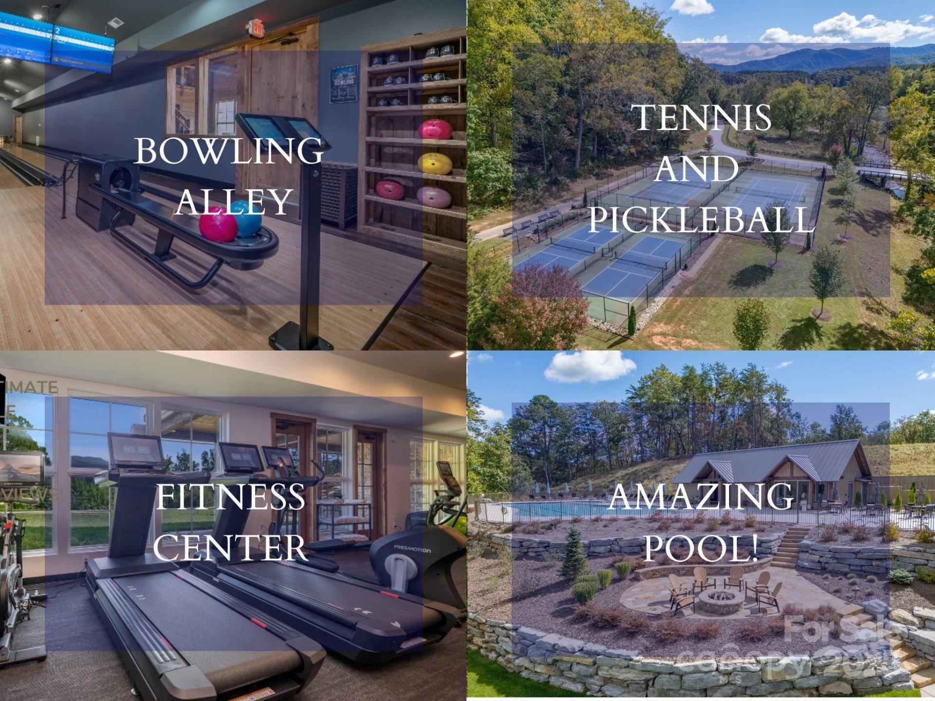 000 Deep Gap Farm Drive #237-2021 - Photo 3