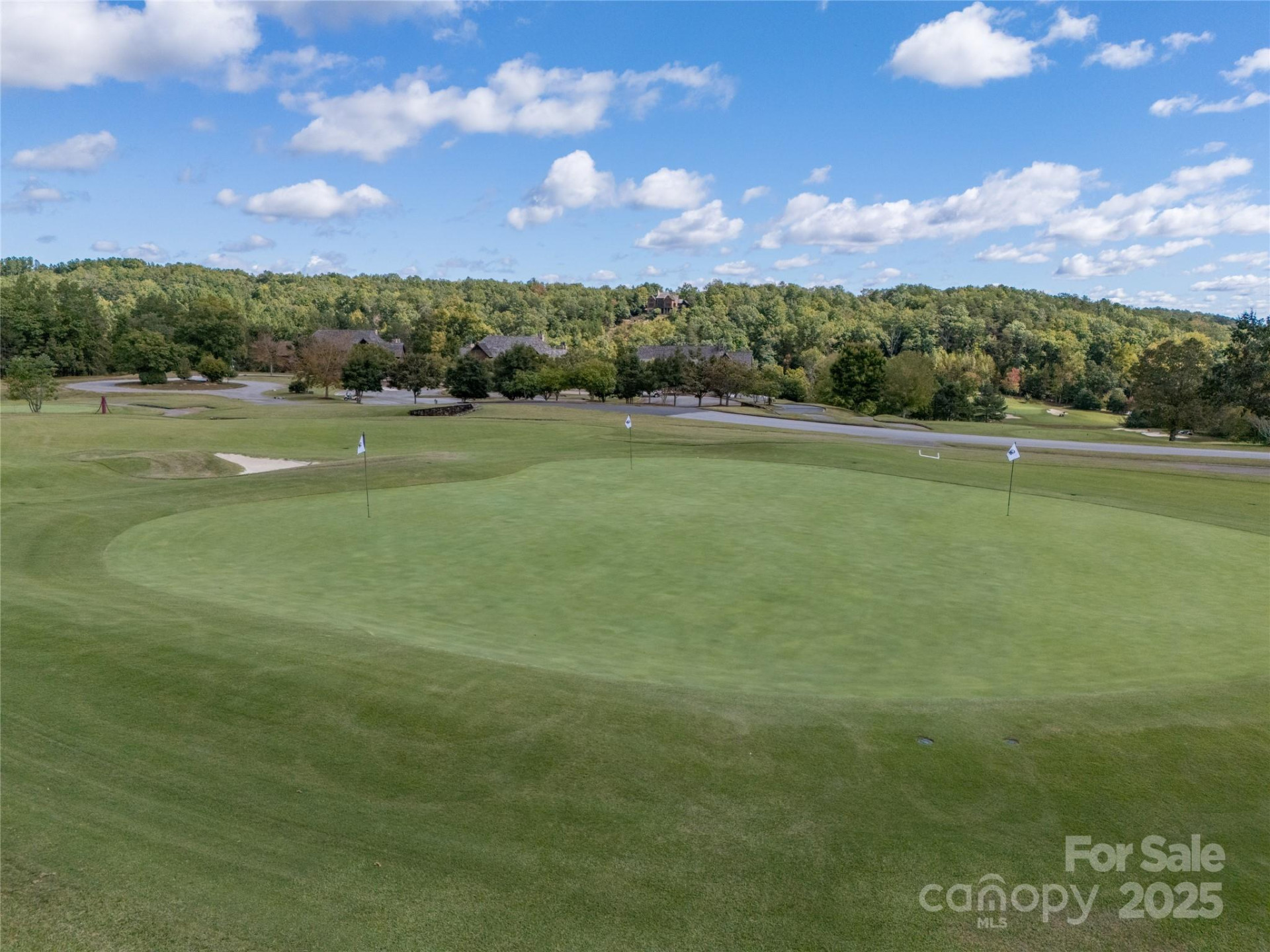 000 Deep Gap Farm Drive #237-2021 - Photo 28