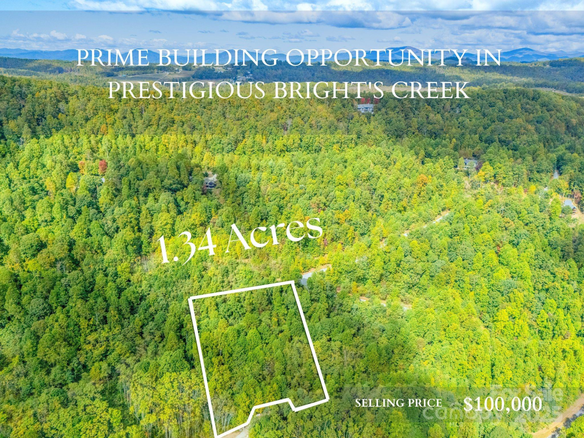 000 Deep Gap Farm Drive #237-2021 - Photo 4