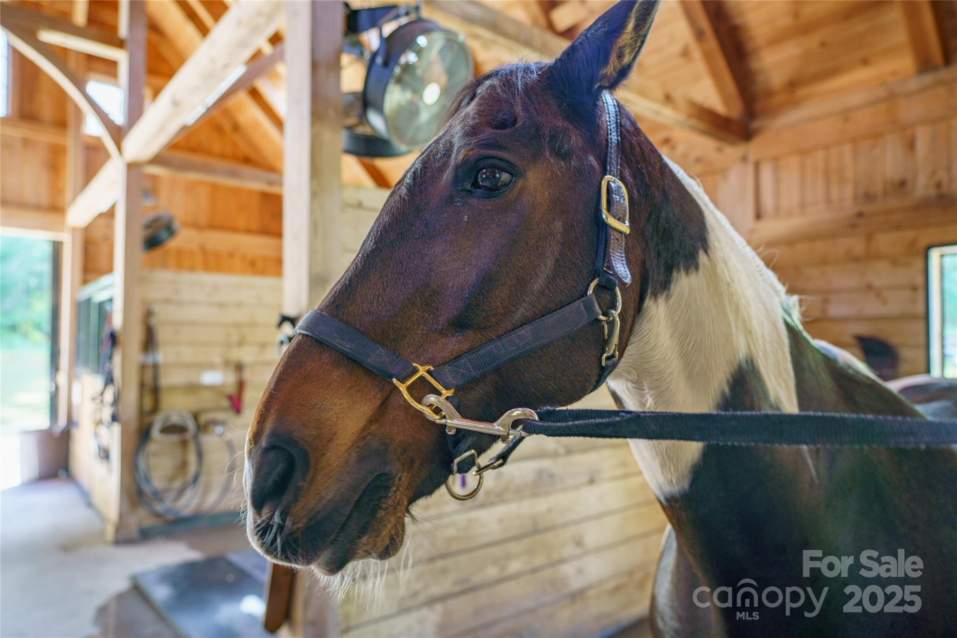 000 Deep Gap Farm Drive #237-2021 - Photo 8