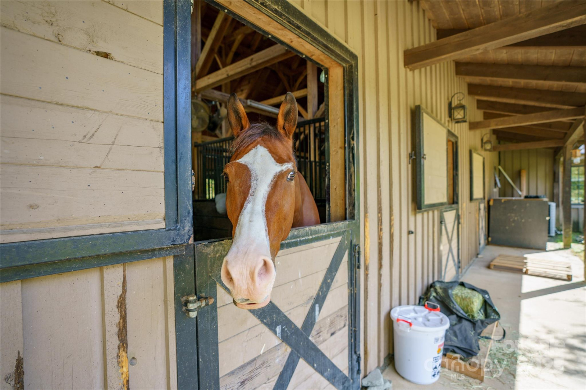 000 Deep Gap Farm Drive #237-2021 - Photo 9
