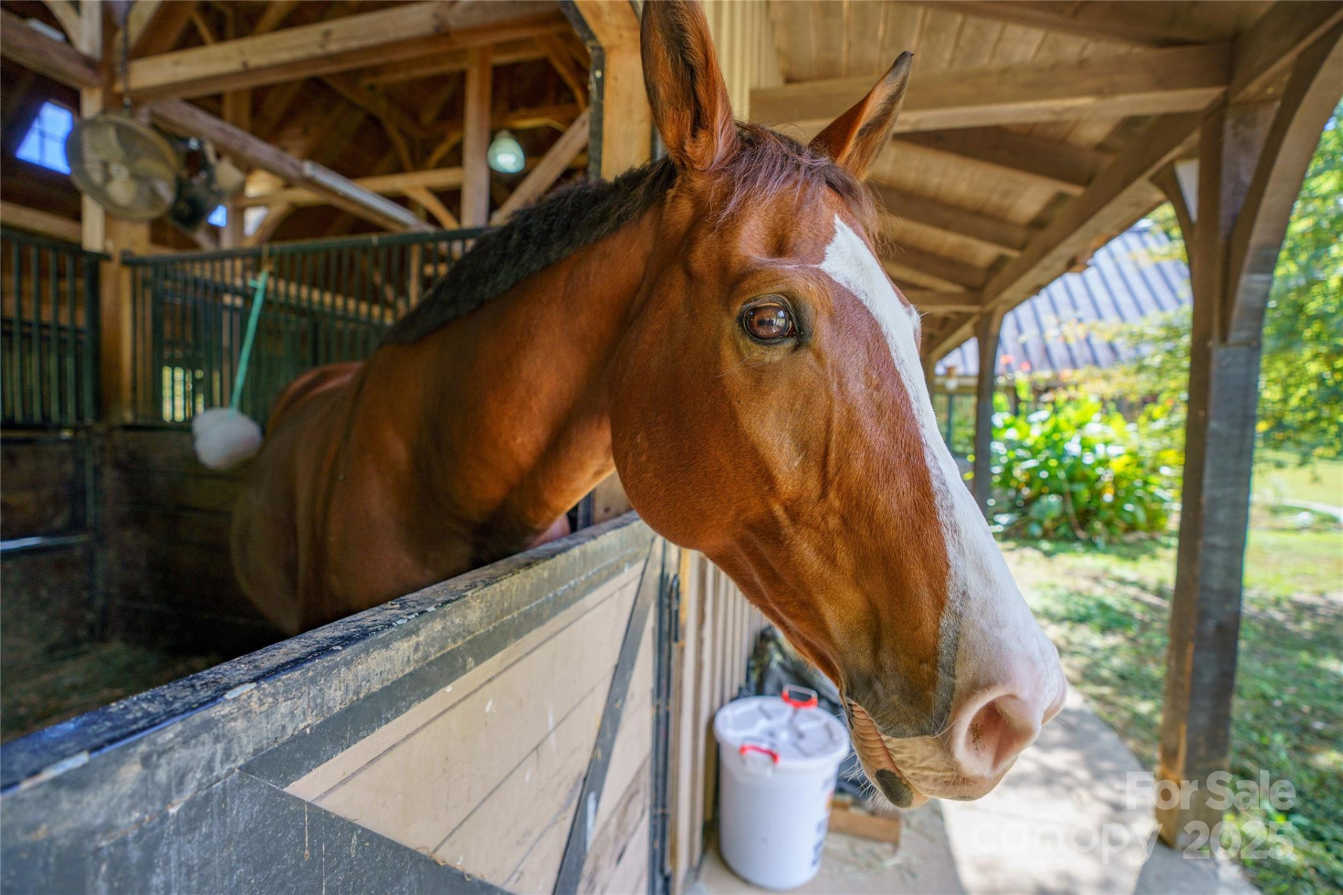 000 Deep Gap Farm Drive #237-2021 - Photo 10