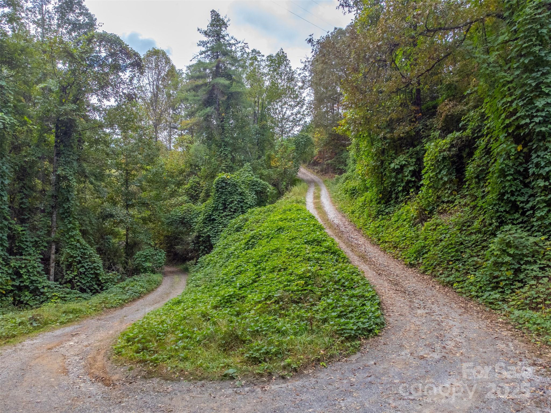 179 Fresh Water Ridge - Photo 30