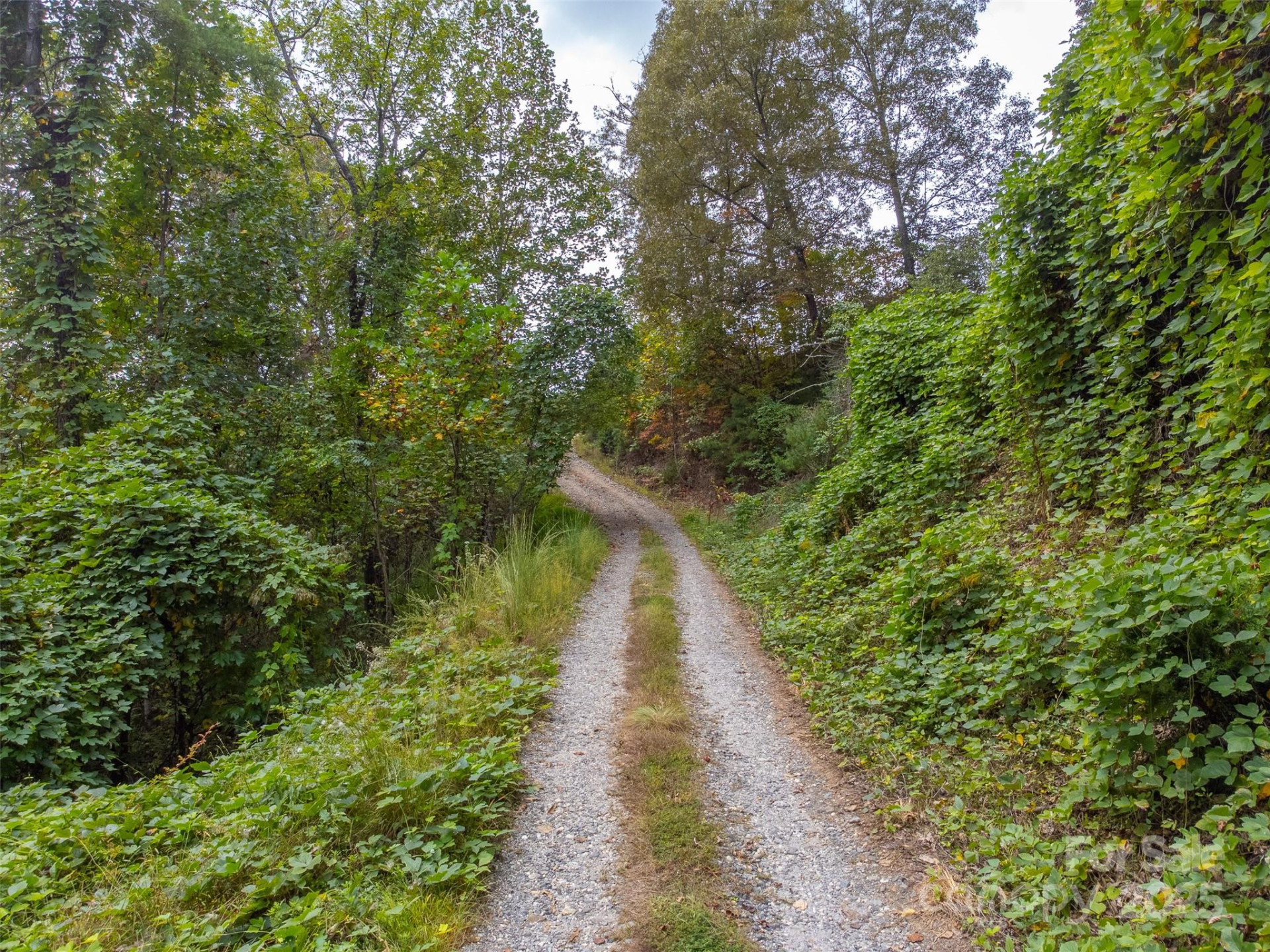 179 Fresh Water Ridge - Photo 31