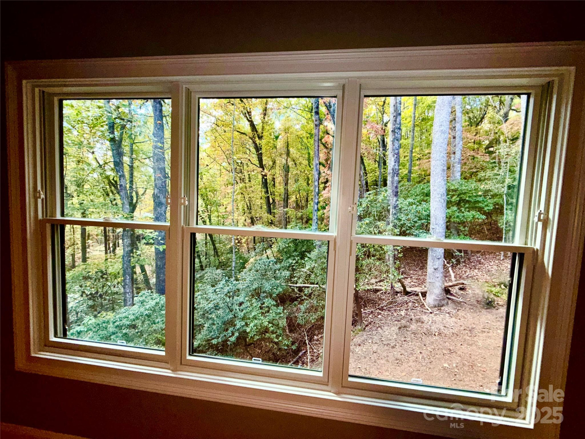 230 Catatoga Path - Photo 25