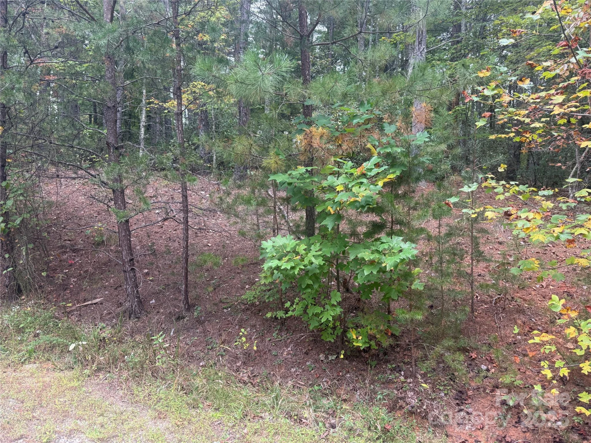 9587 Shortoff View Terrace #57 - Photo 2