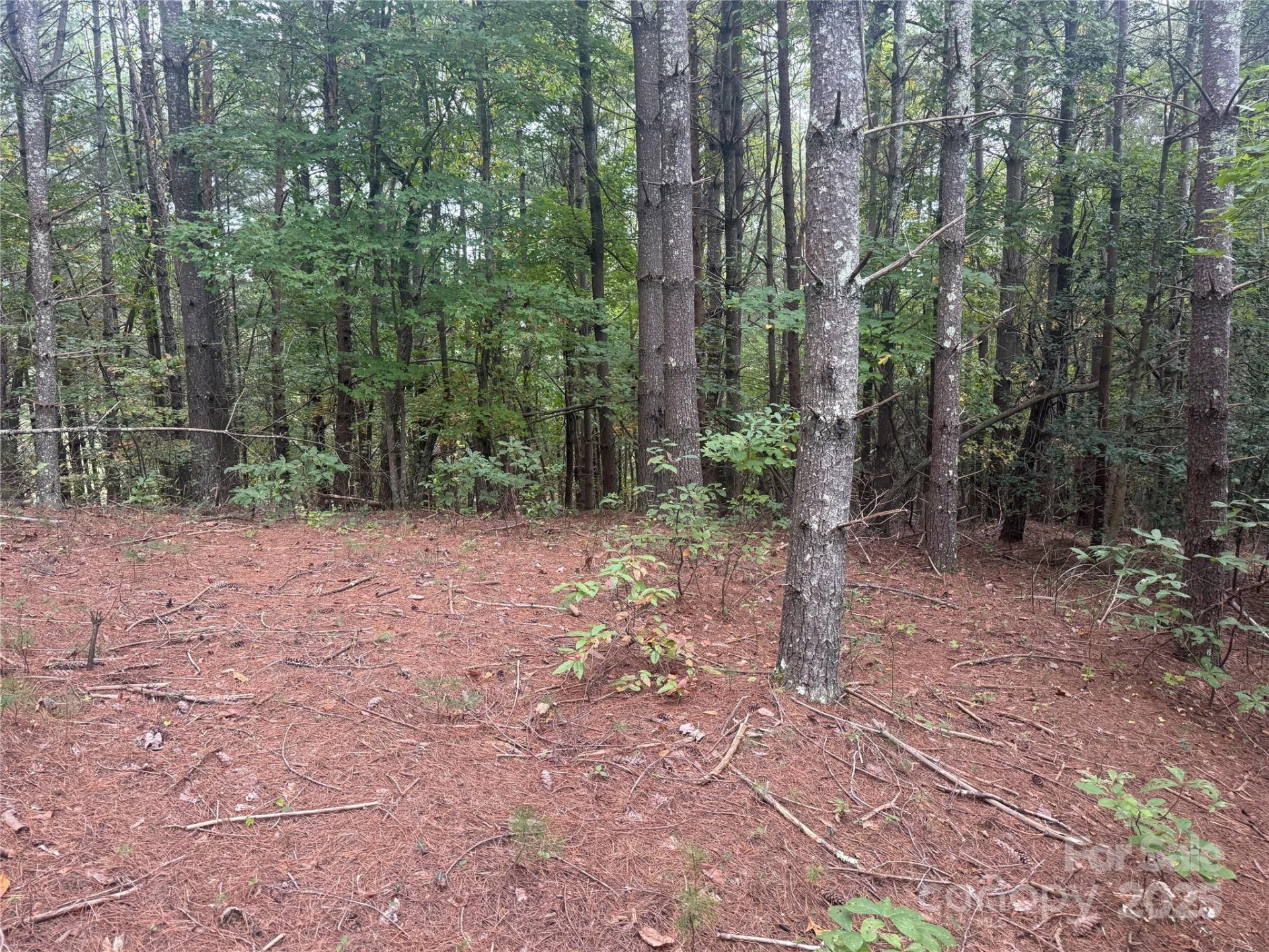 9587 Shortoff View Terrace #57 - Photo 3