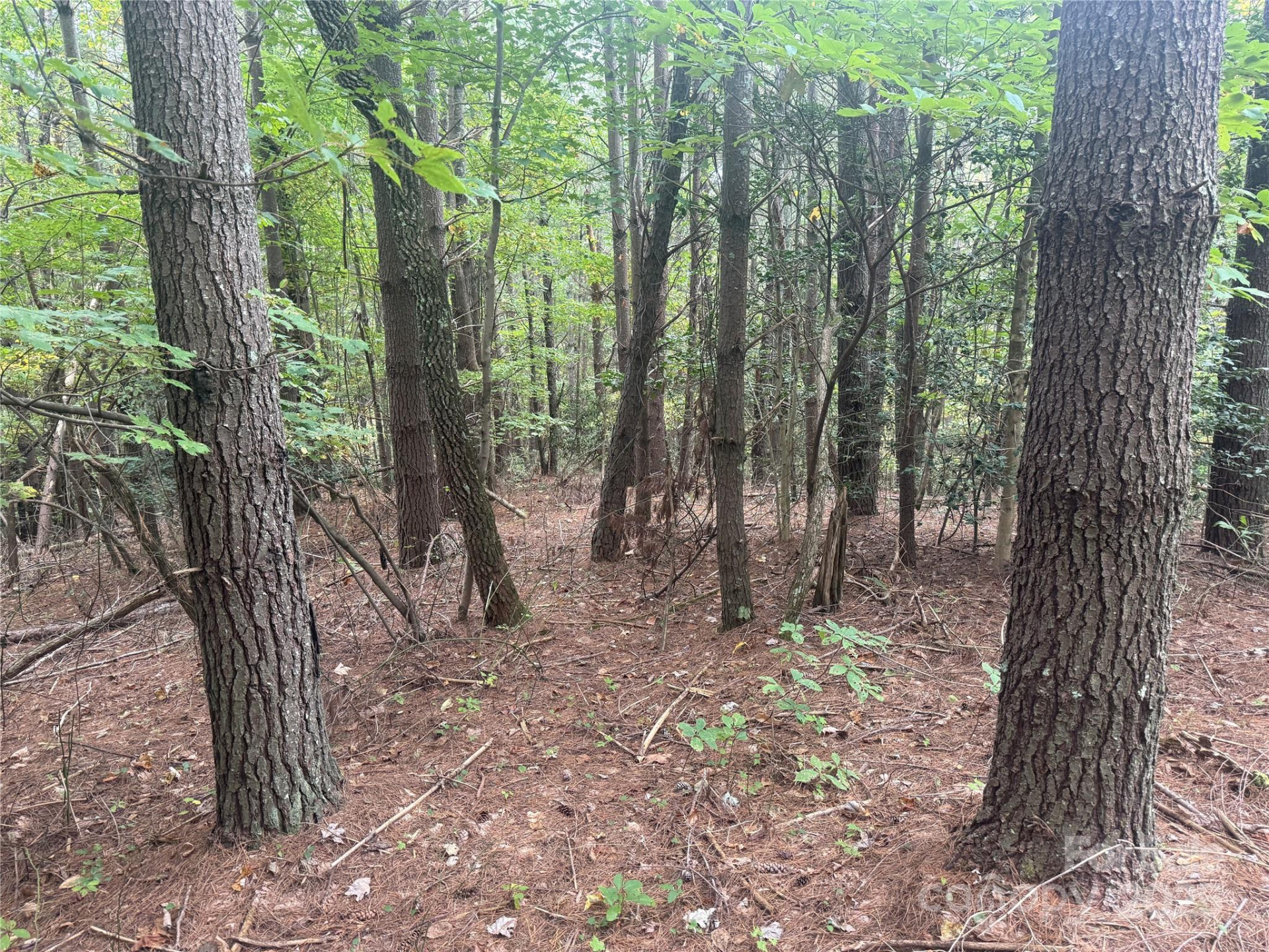 9587 Shortoff View Terrace #57 - Photo 6