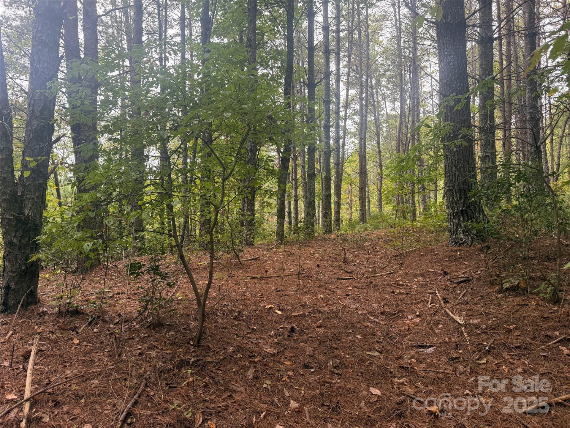 9587 Shortoff View Terrace #57 - Photo 7