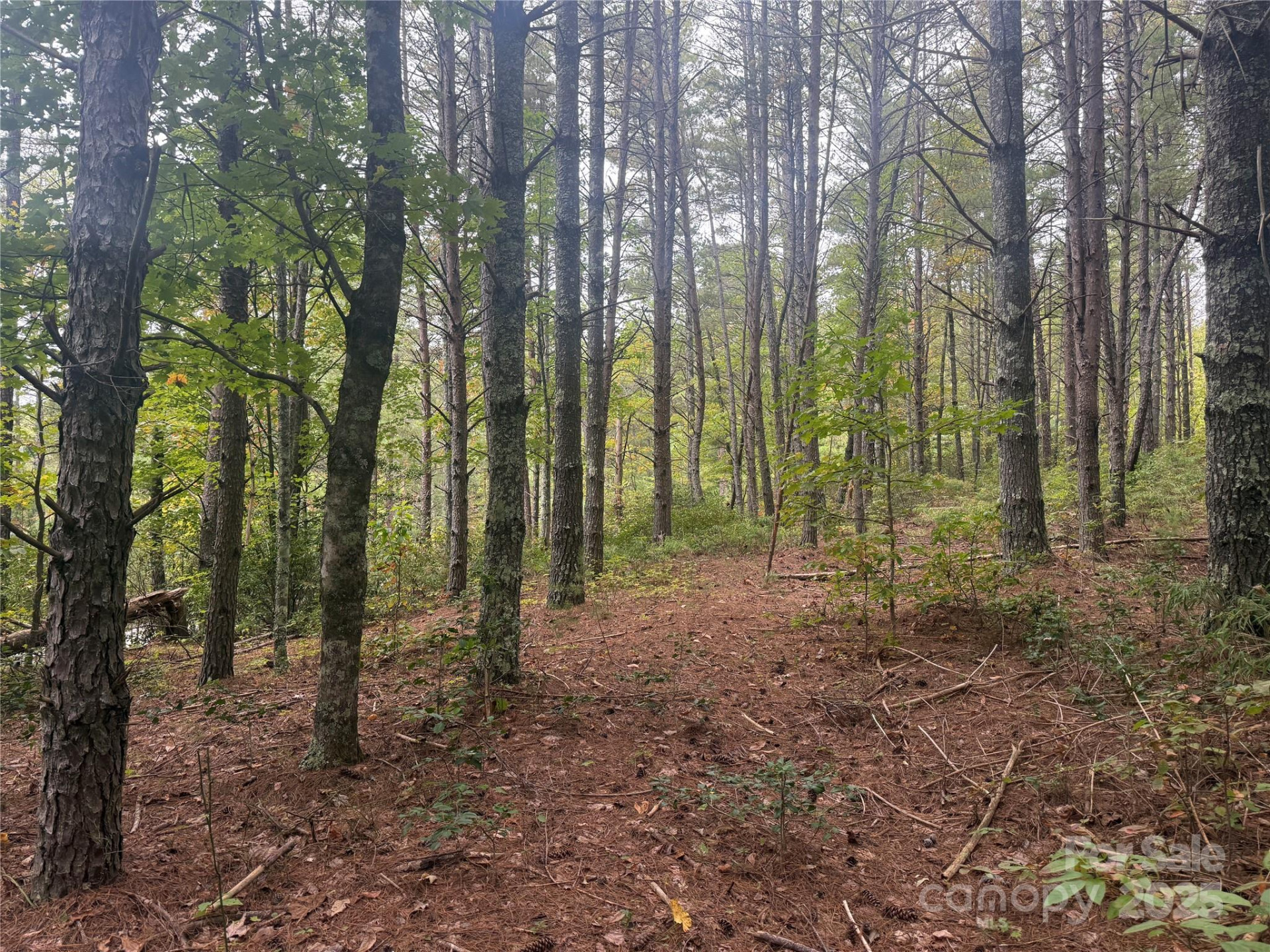 9587 Shortoff View Terrace #57 - Photo 8