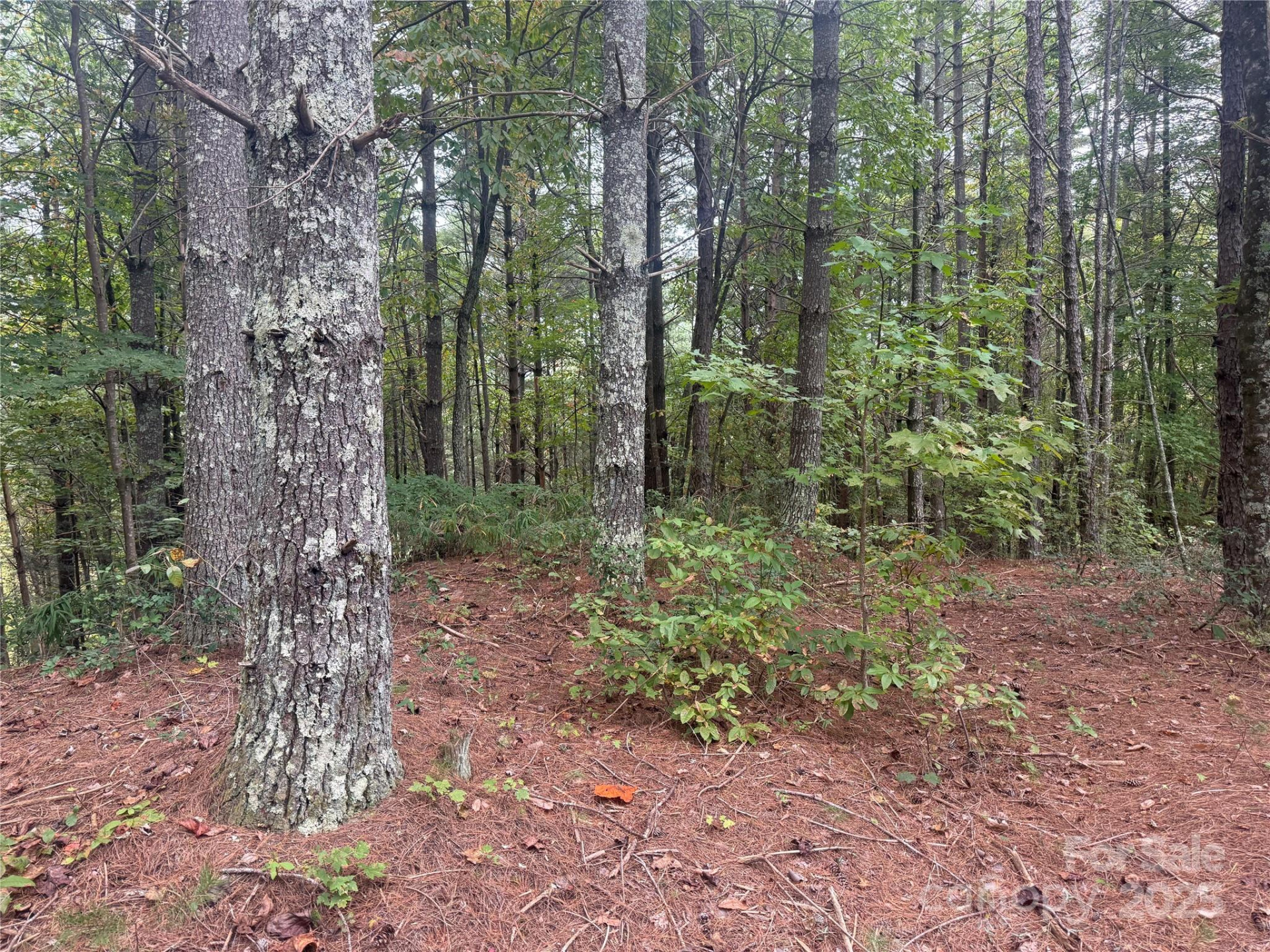 9587 Shortoff View Terrace #57 - Photo 9