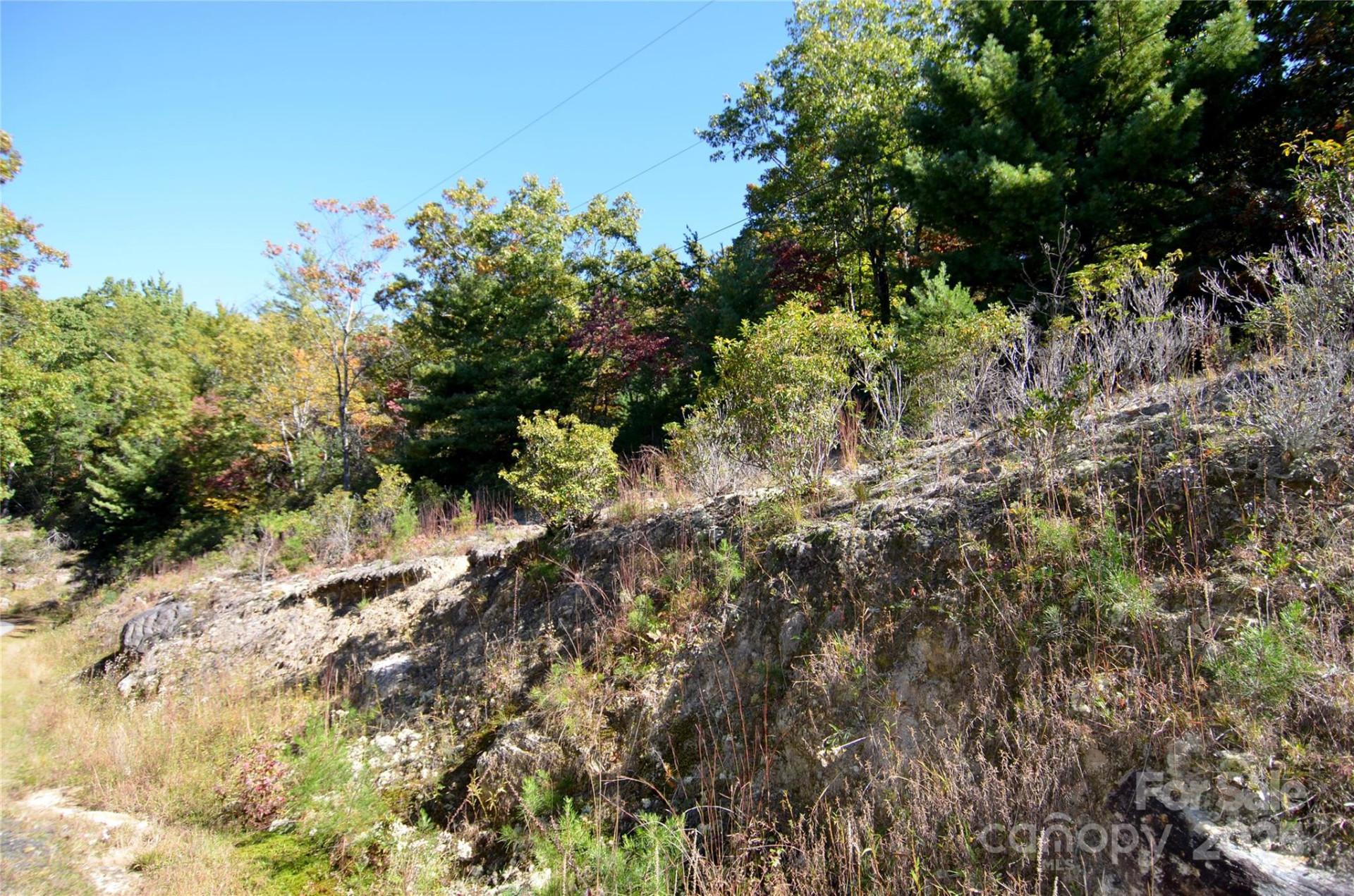 VL 23 G Sequoyah Circle #23 G - Photo 2