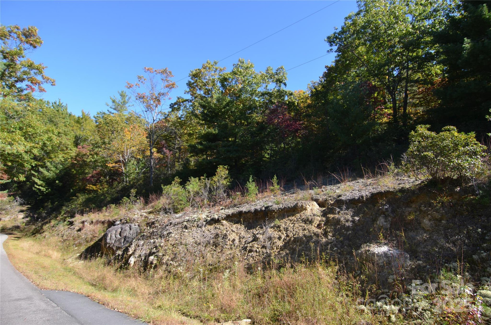 VL 23 G Sequoyah Circle #23 G - Photo 3