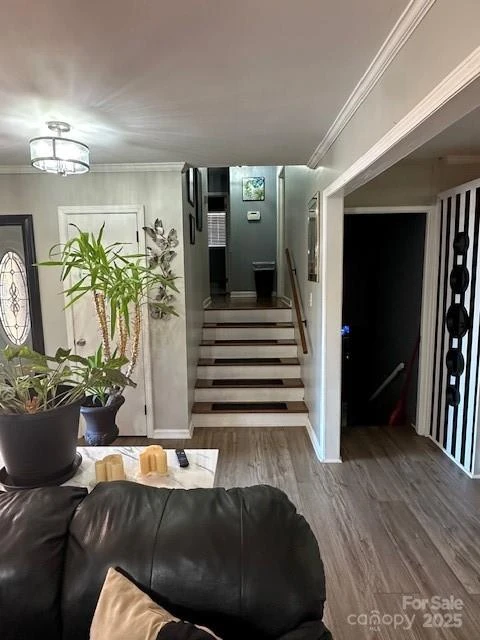 847 Kathryn Drive - Photo 10