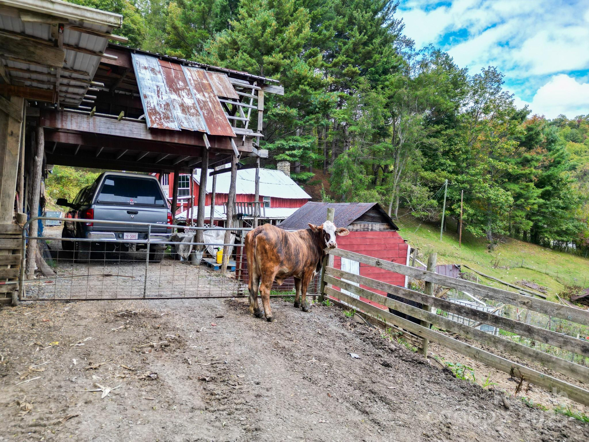 105 Home Place Road - Photo 19