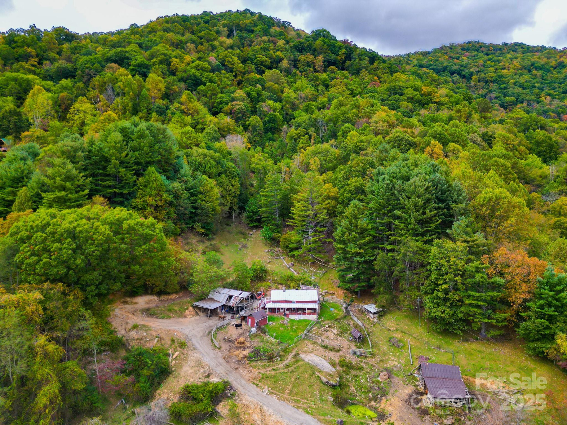 105 Home Place Road - Photo 4