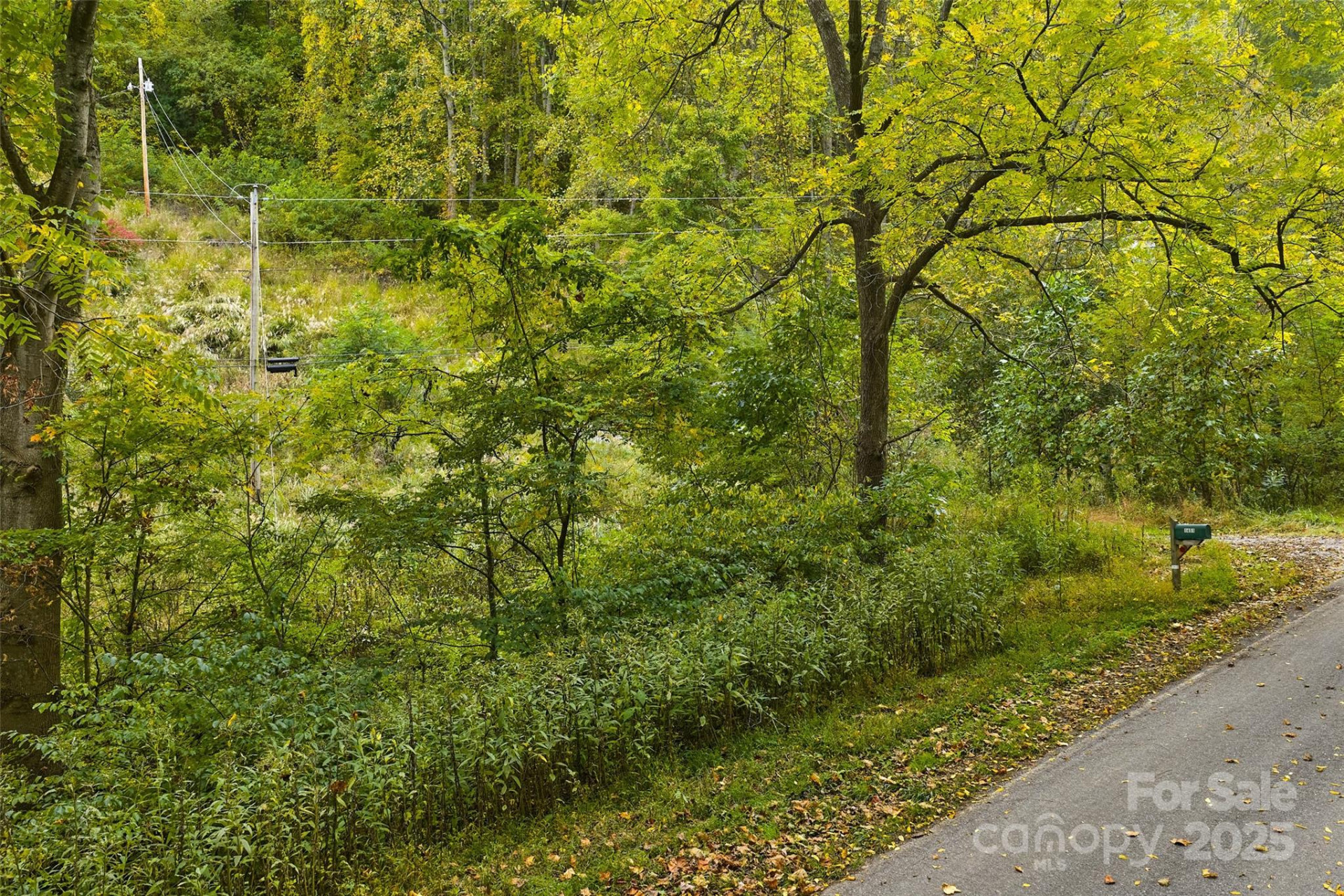 348 Chandler Creek Road - Photo 2