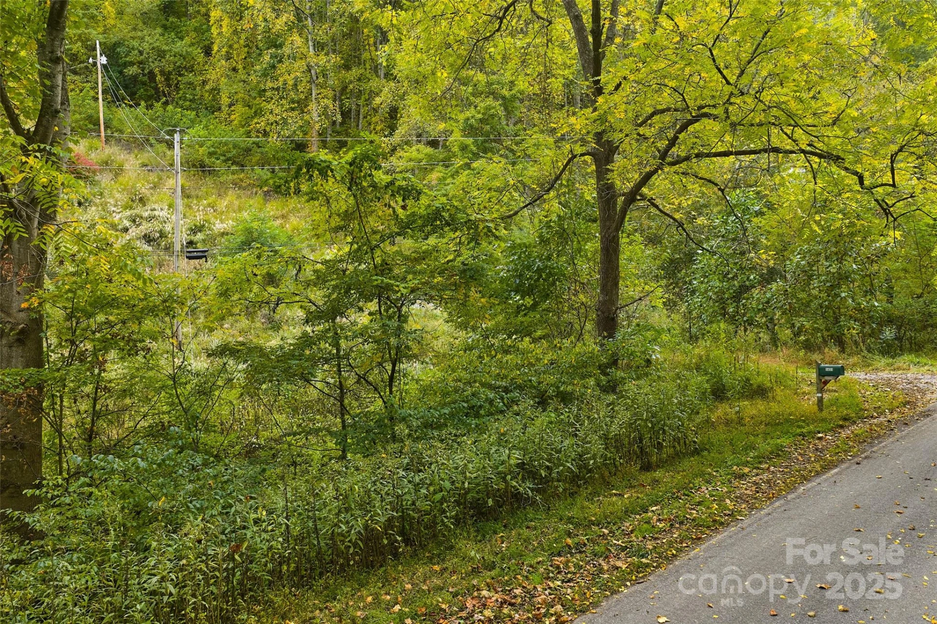 348 Chandler Creek Road - Photo 2