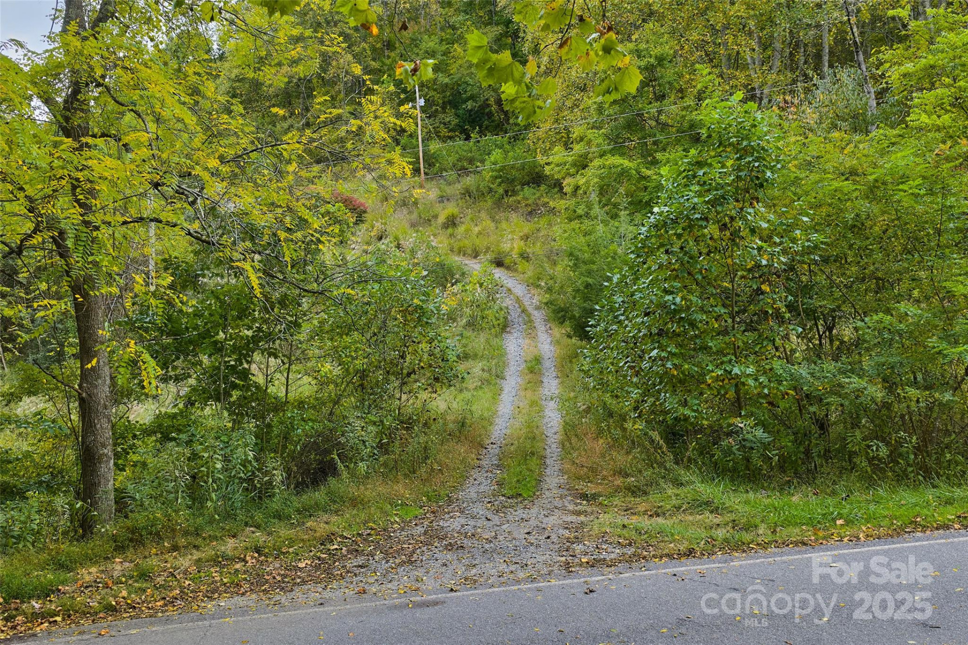 348 Chandler Creek Road - Photo 3