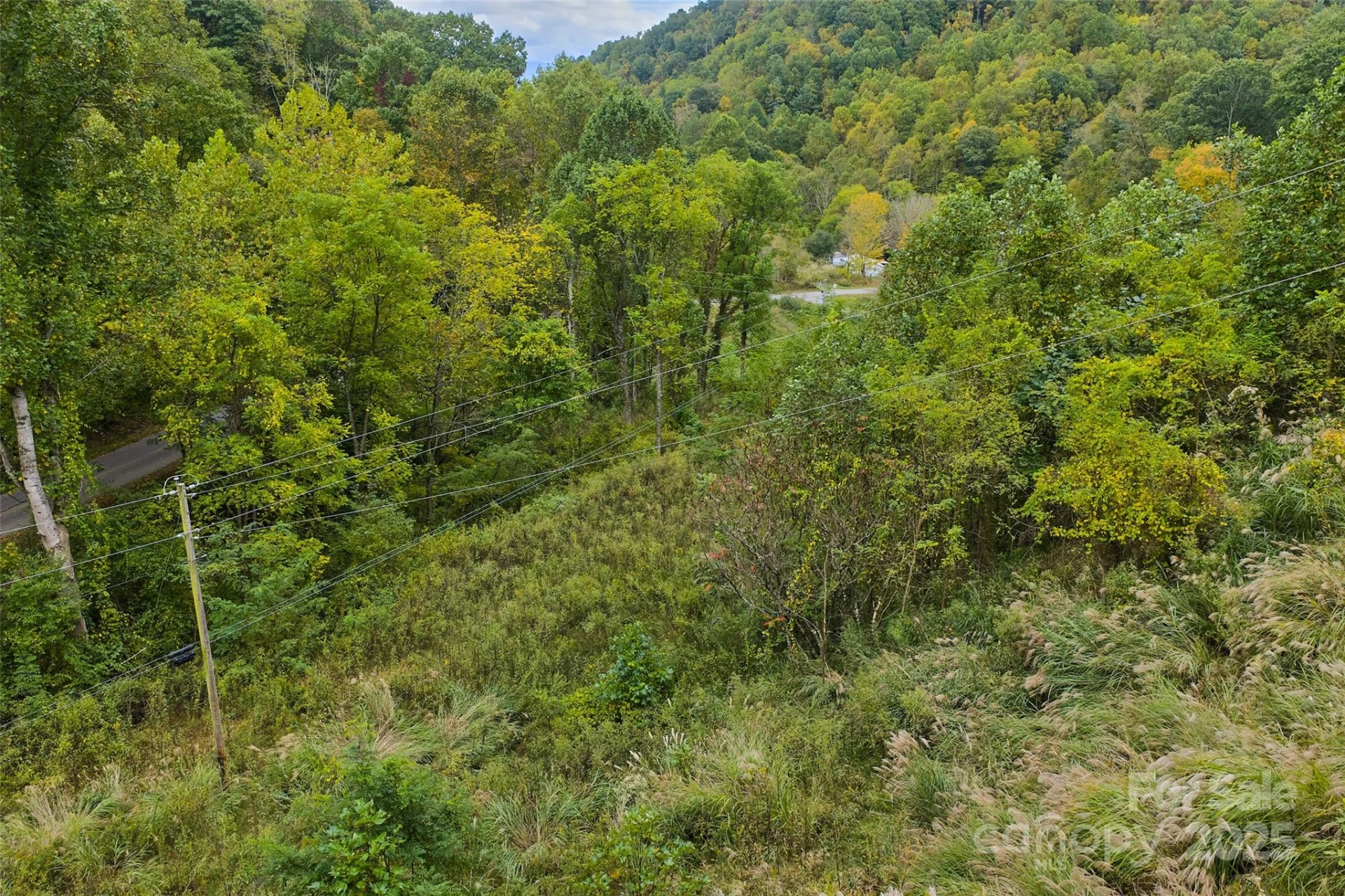 348 Chandler Creek Road - Photo 6
