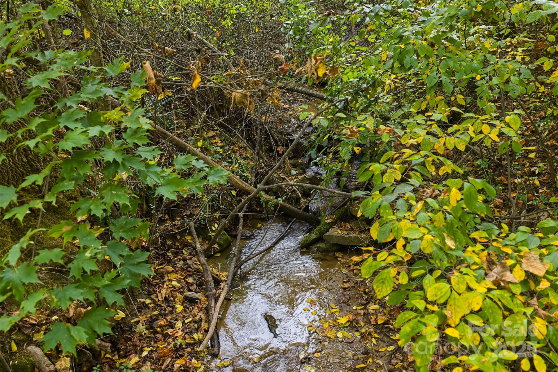 348 Chandler Creek Road - Photo 8