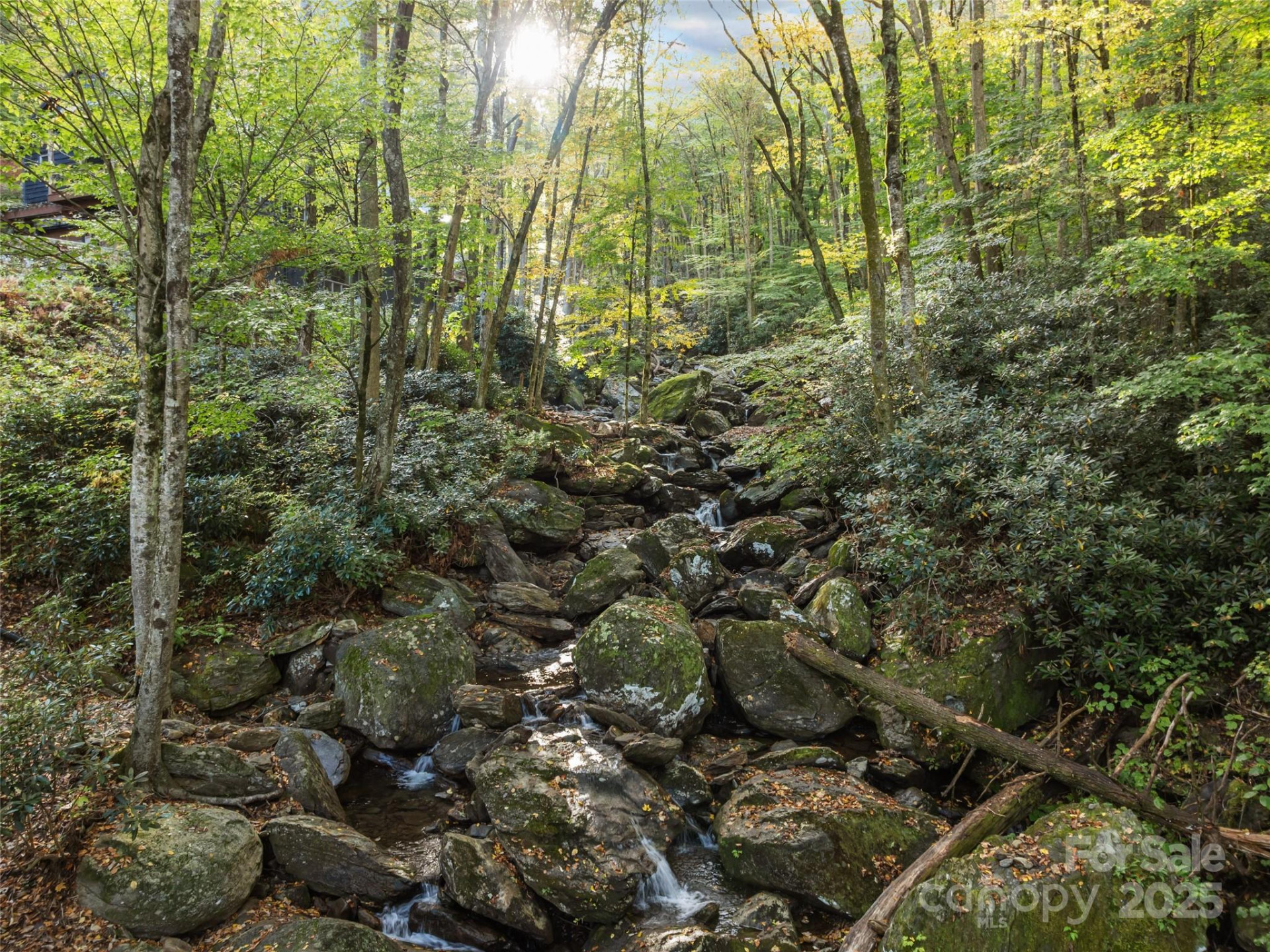 1396 Winter Star Road - Photo 13
