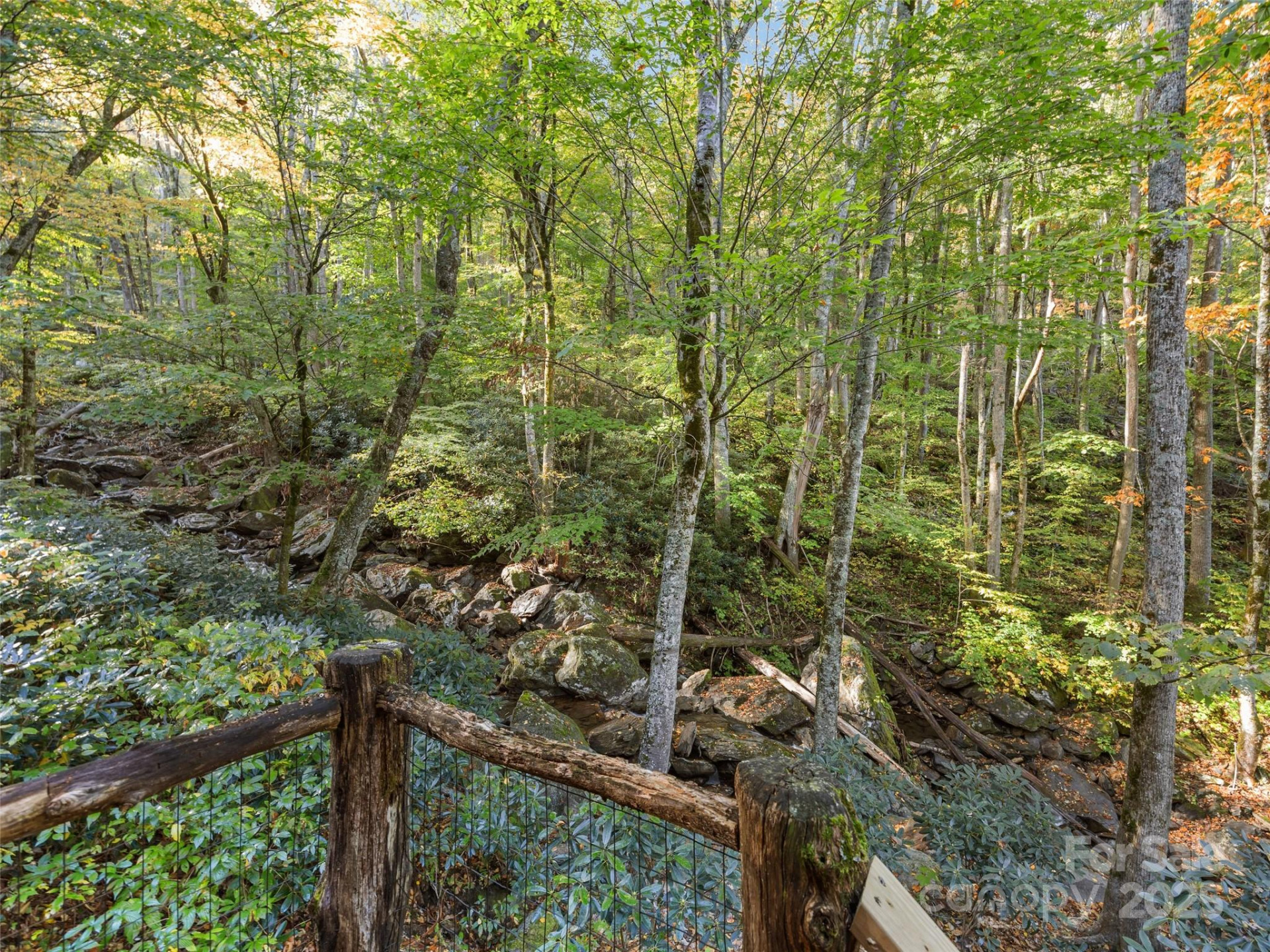 1396 Winter Star Road - Photo 9