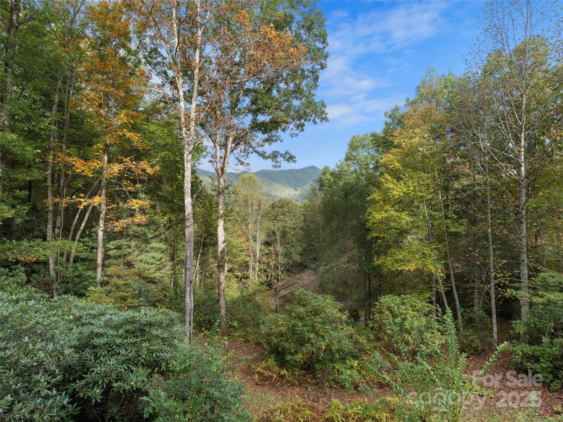 296 Ivy Ridge Circle - Photo 39