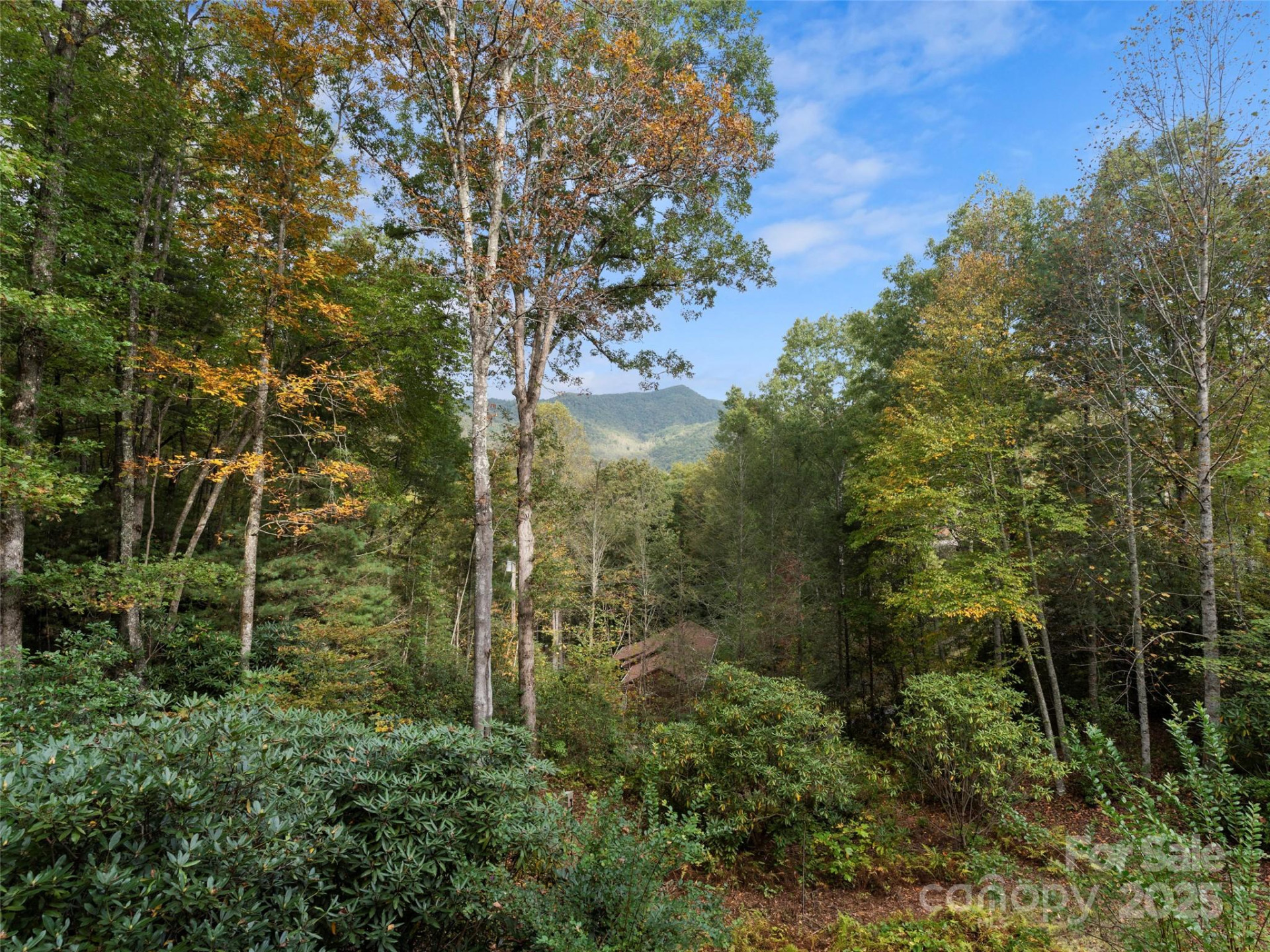 296 Ivy Ridge Circle - Photo 40