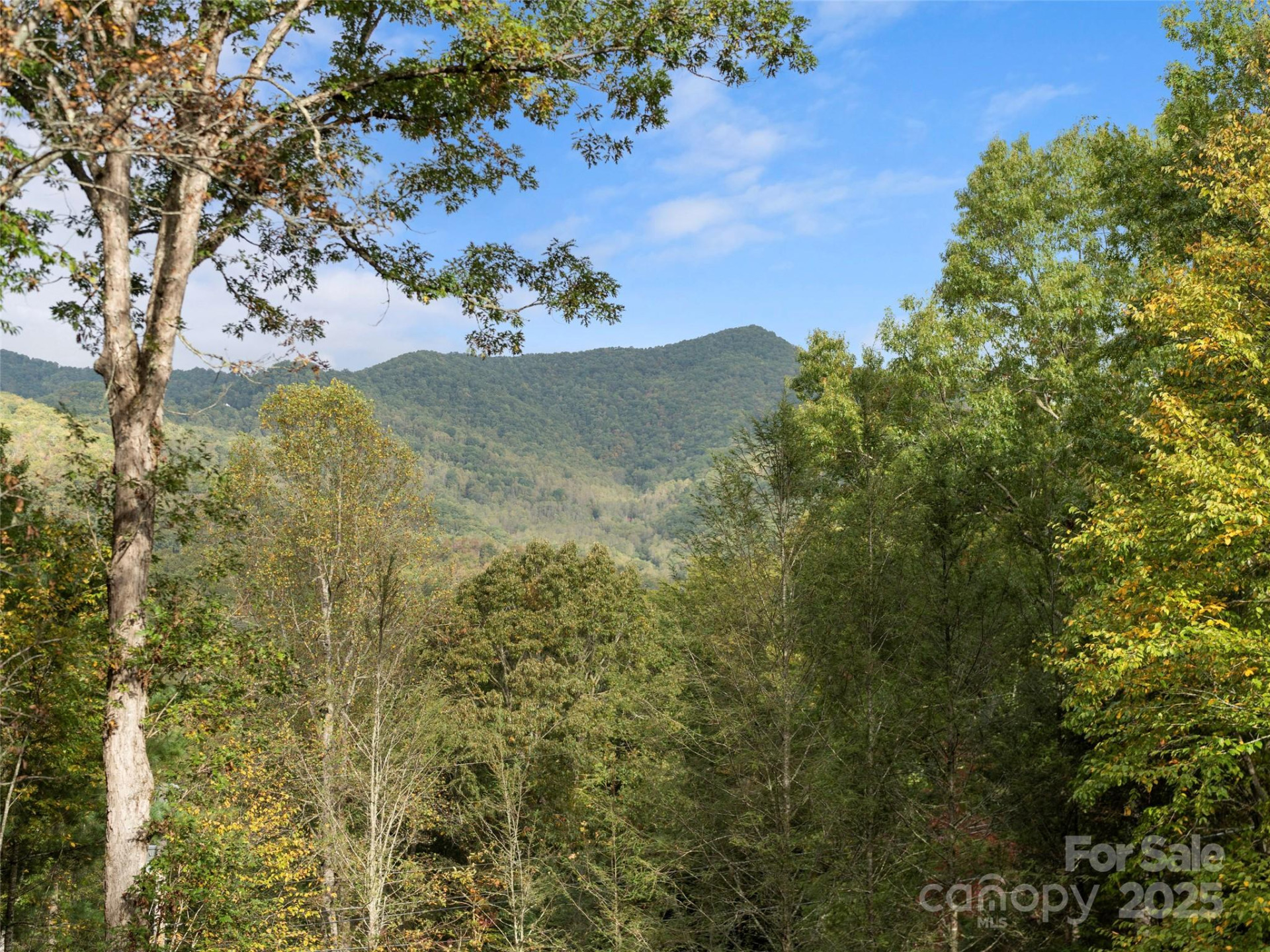 296 Ivy Ridge Circle - Photo 41