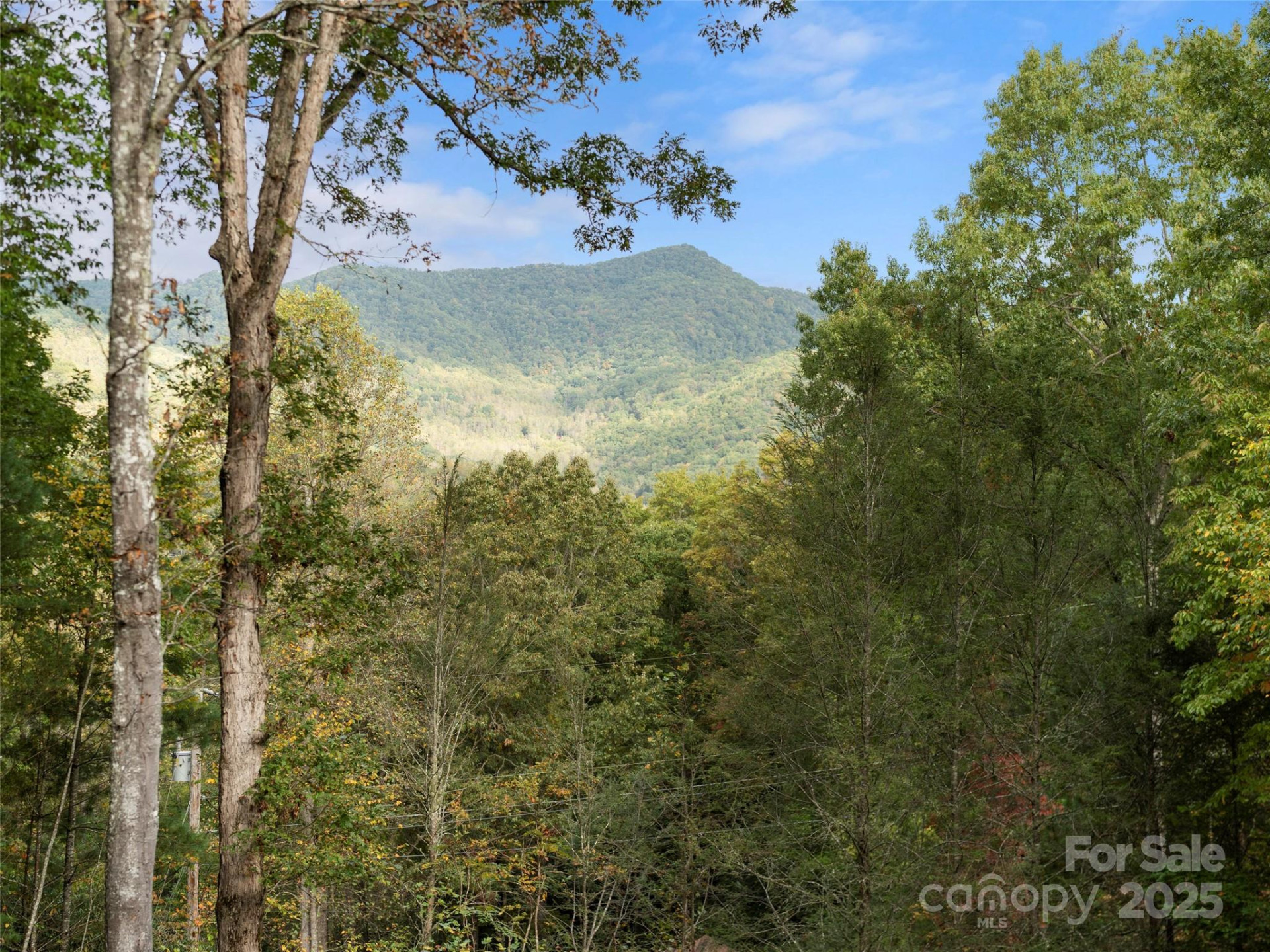 296 Ivy Ridge Circle - Photo 42