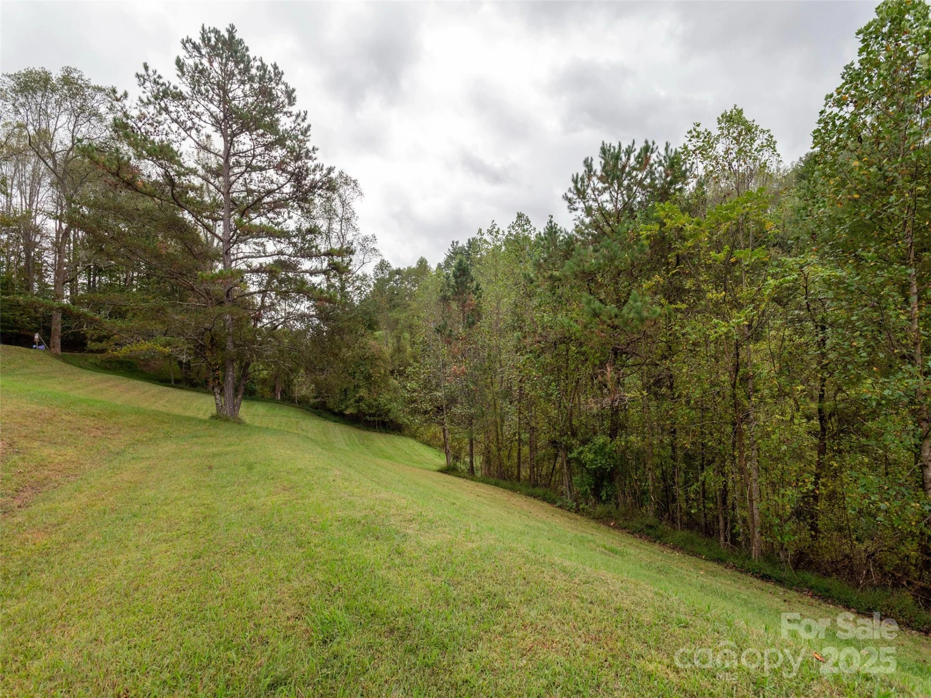 81 Mount Airy Road - Photo 15