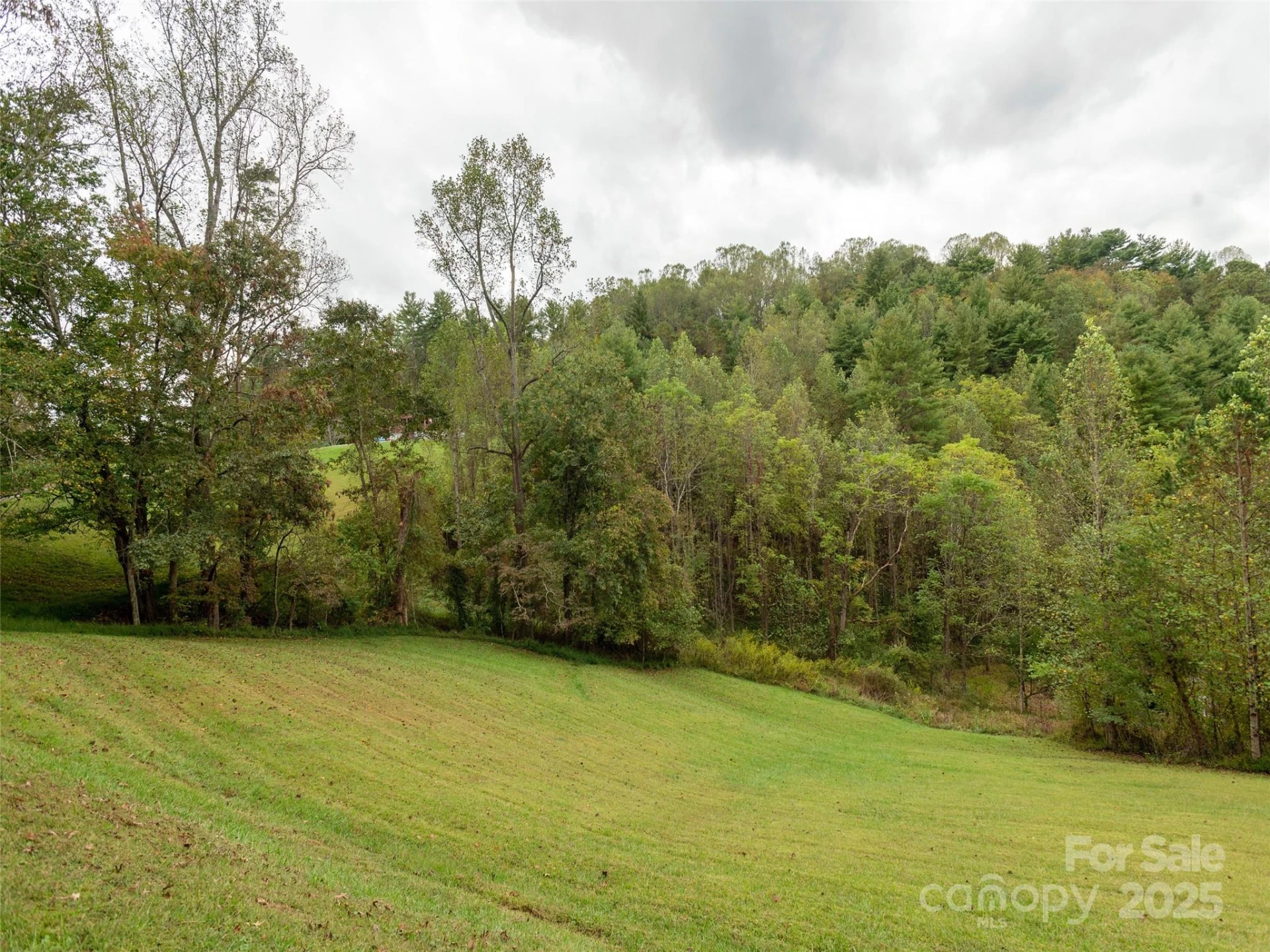 81 Mount Airy Road - Photo 16
