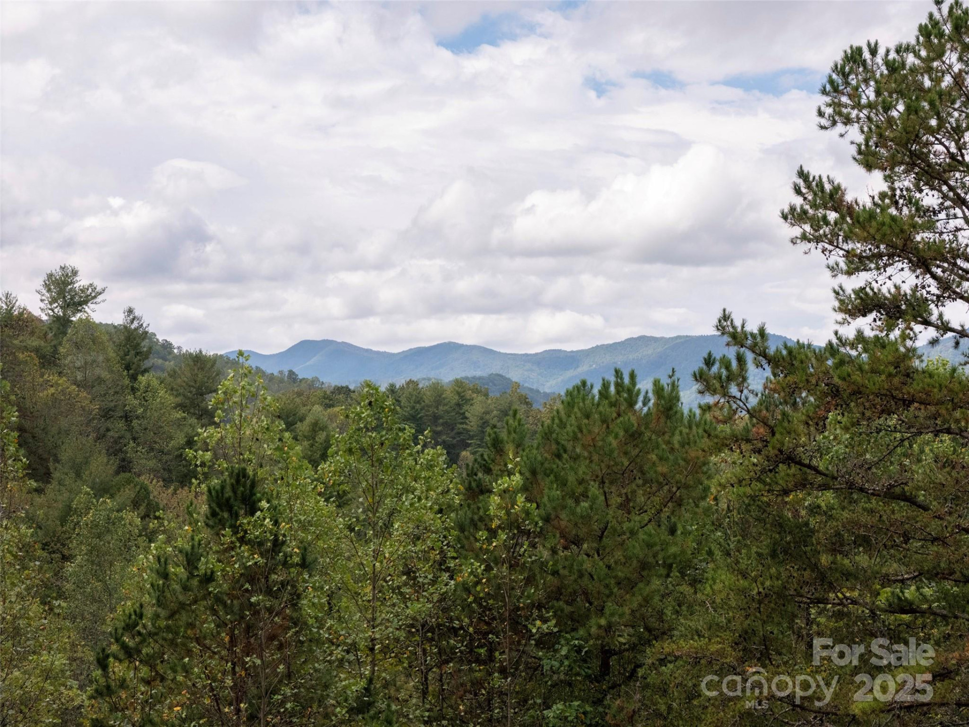 81 Mount Airy Road - Photo 19